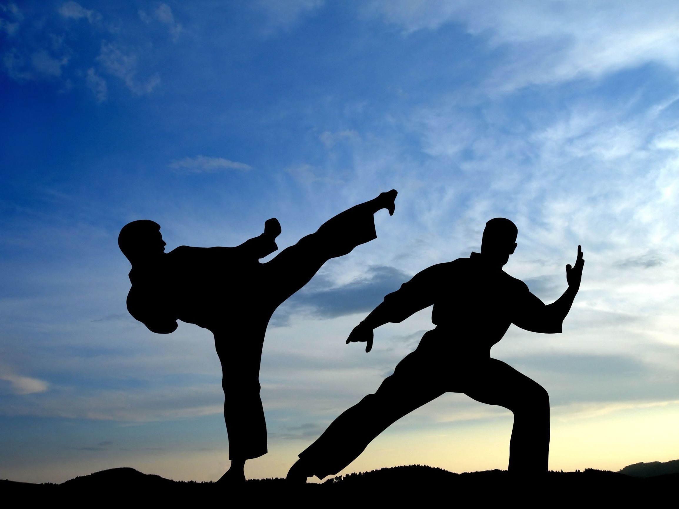 Karate silhouette, Sky sport battle, Shadows blow fighters, Martial arts, 2310x1740 HD Desktop