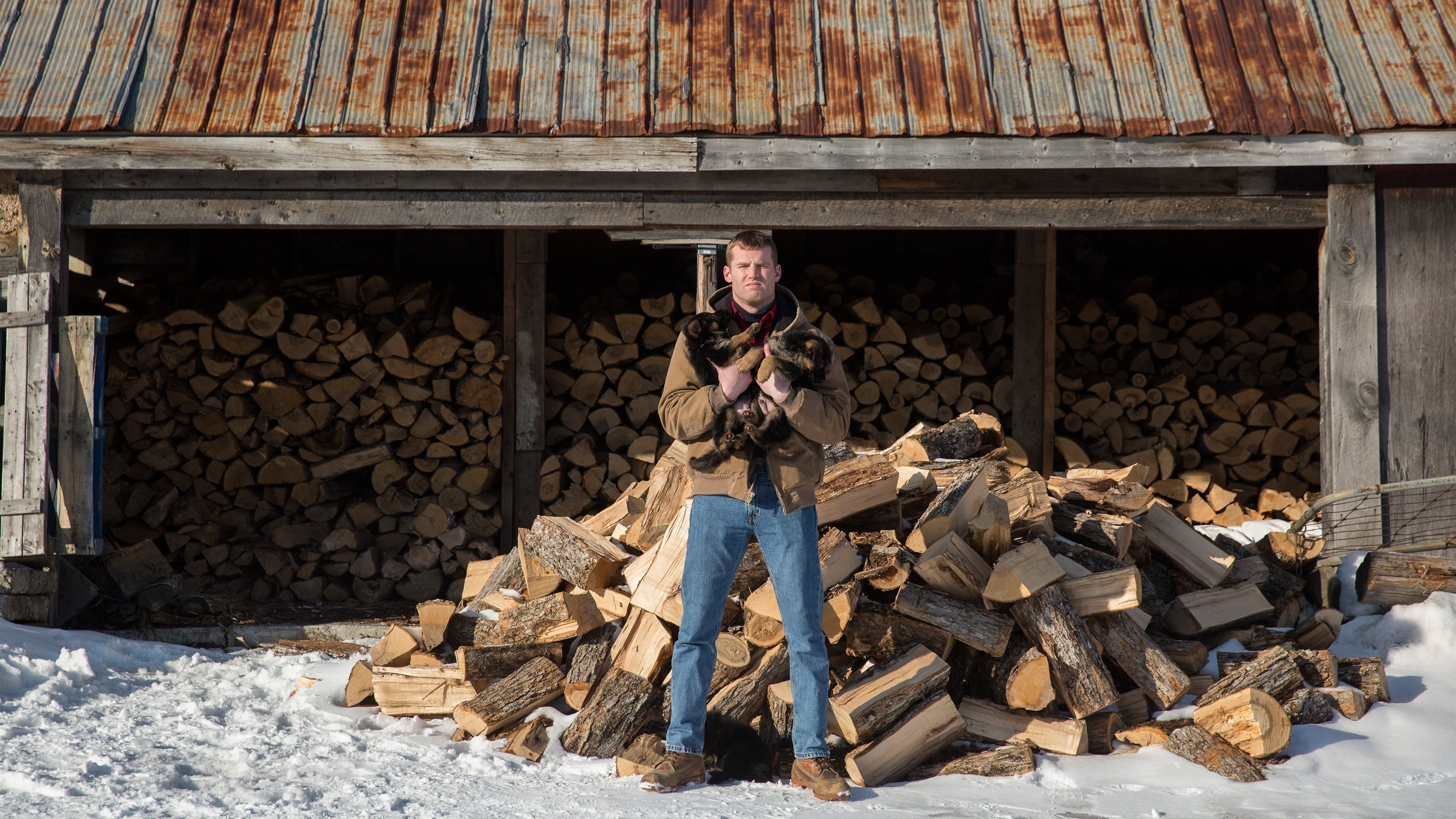 Letterkenny TV series, Season 3 episode 2, Engrossing storylines, O2TVSeries, 3840x2160 4K Desktop