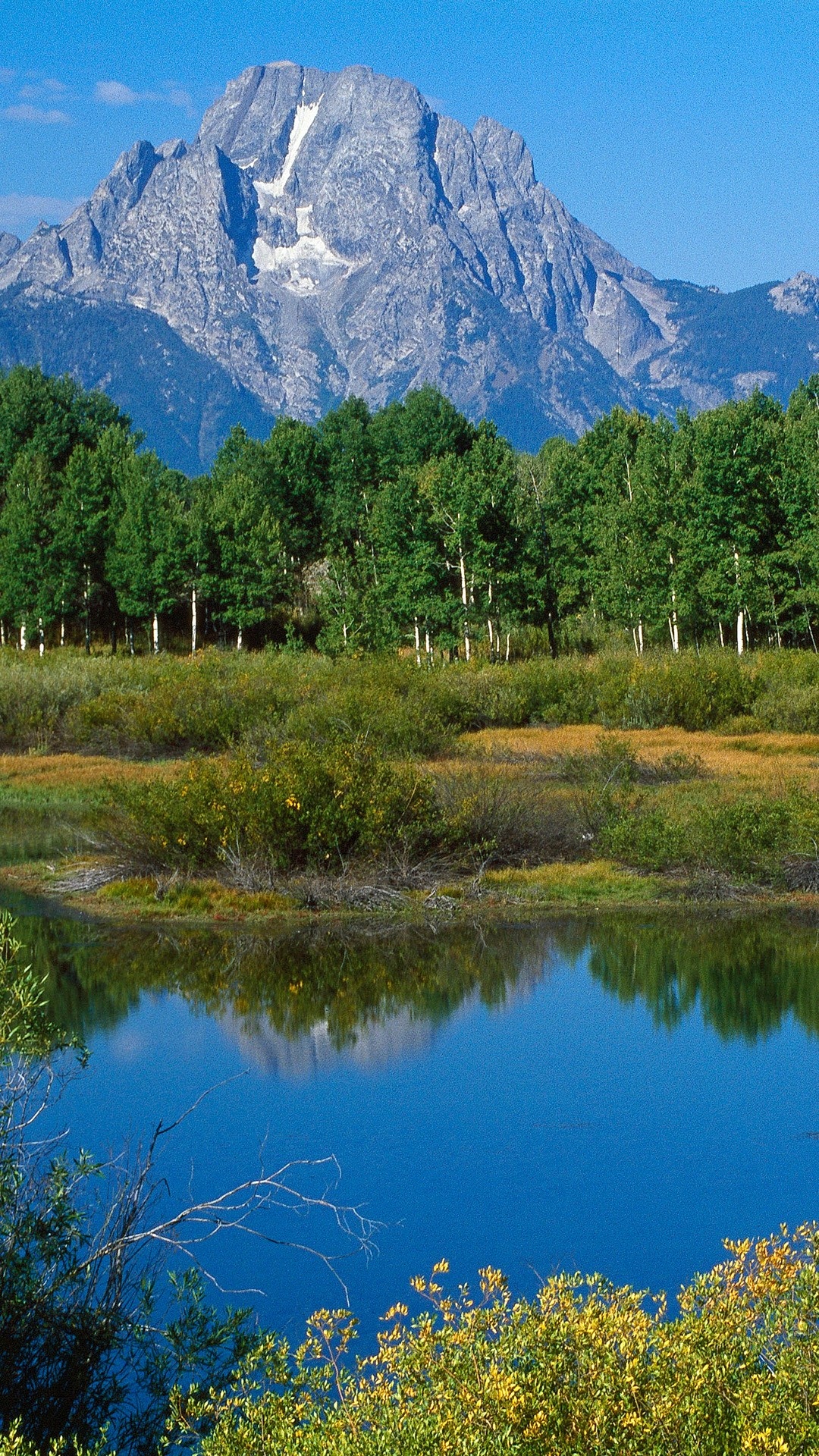 Oxbow Bend, Grand Teton National Park Wallpaper, 1080x1920 Full HD Phone