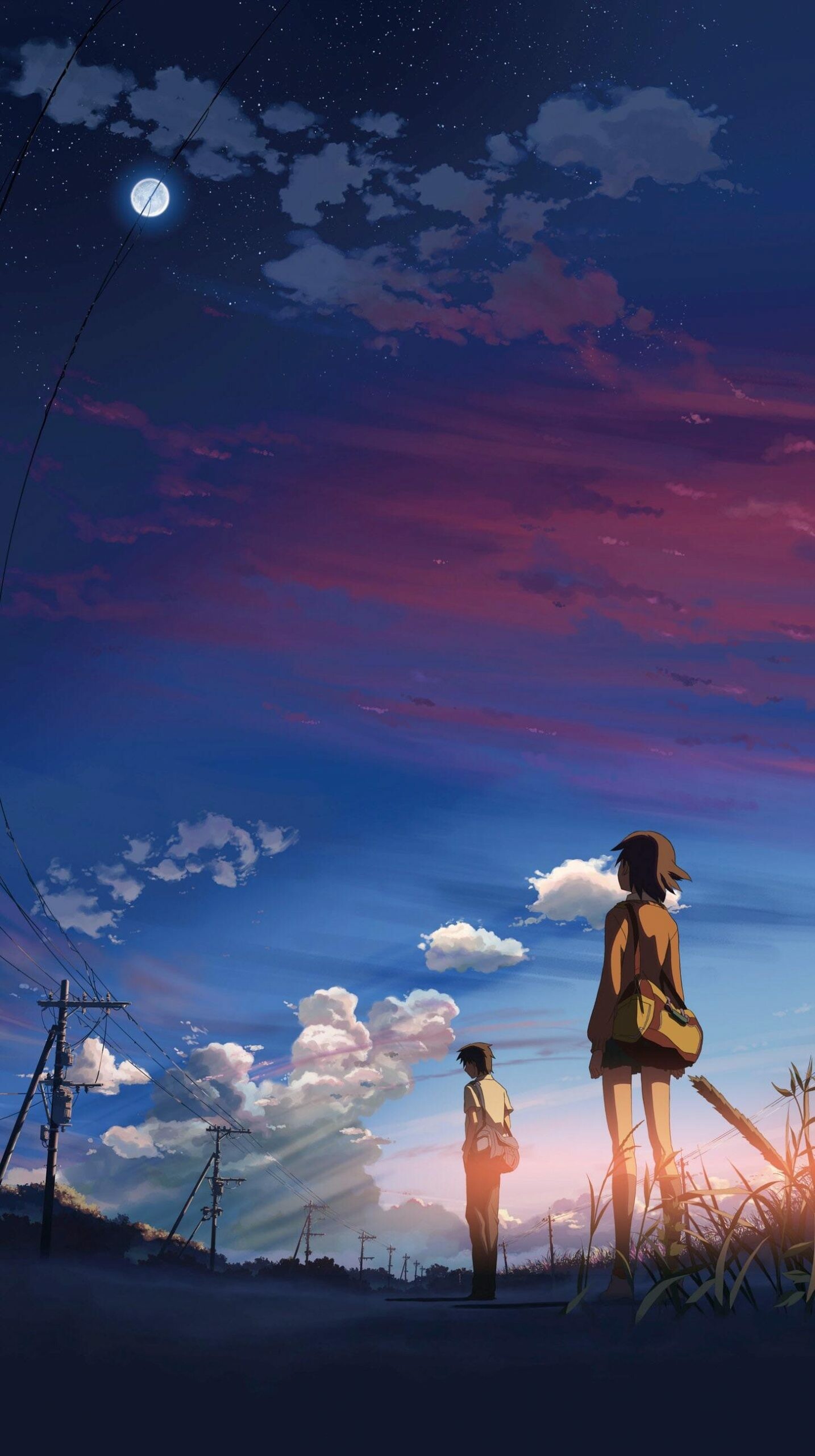 Your Name, Best backgrounds, Top wallpapers, Download, 1440x2560 HD Phone