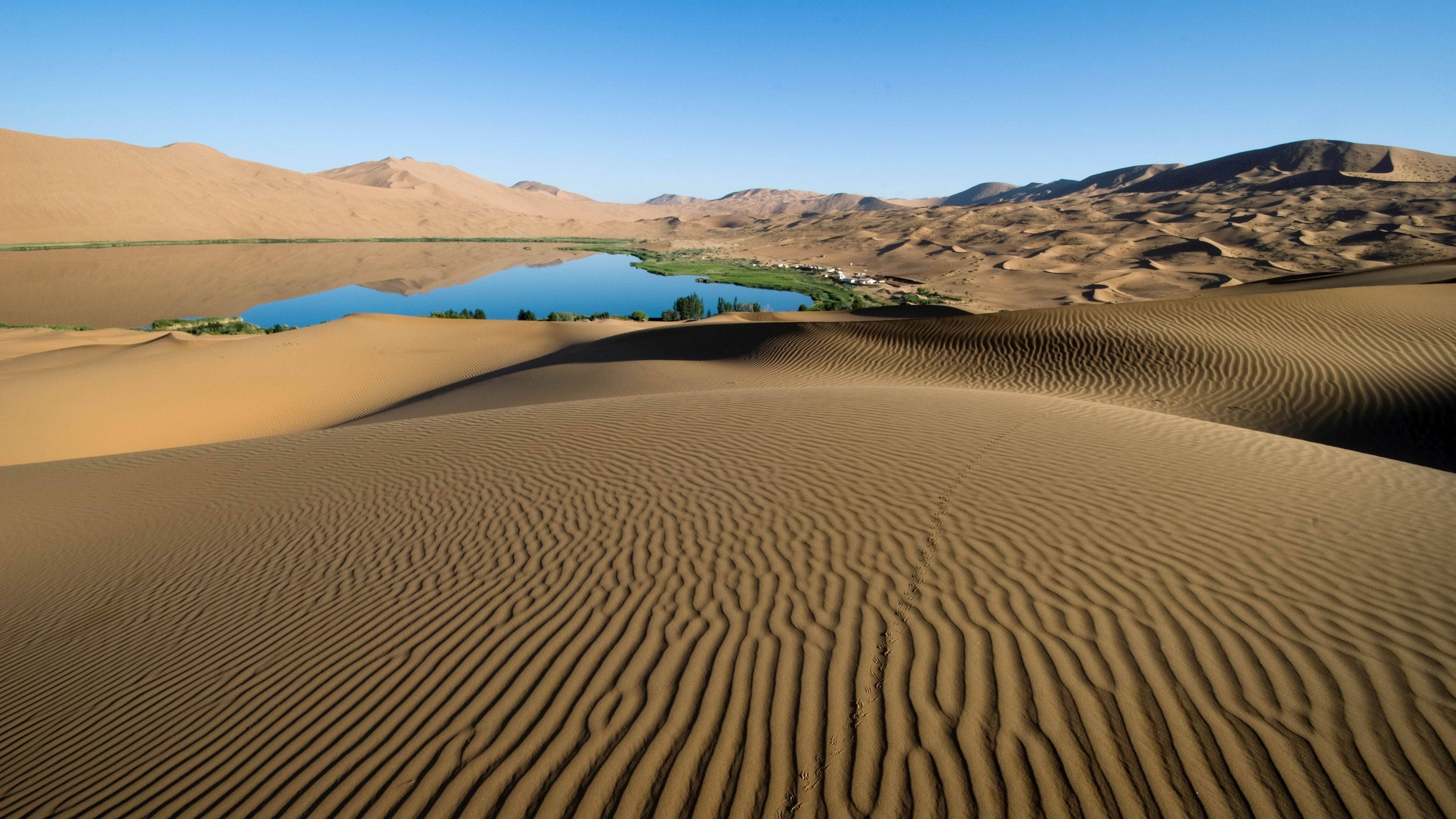 Oasis, Gobi Desert Wallpaper, 3840x2160 4K Desktop