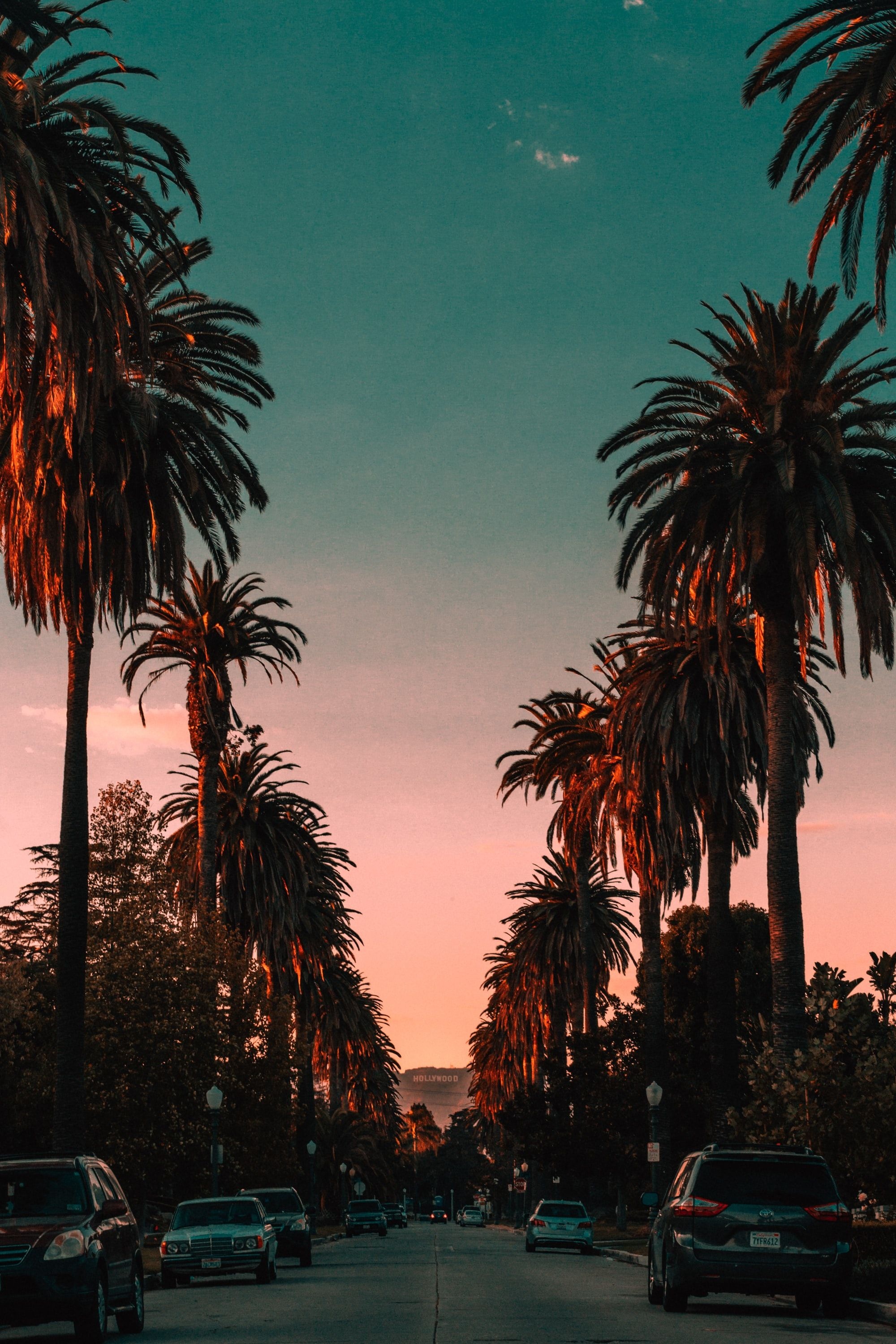 Los Angeles, California Wallpaper, 2000x3000 HD Phone