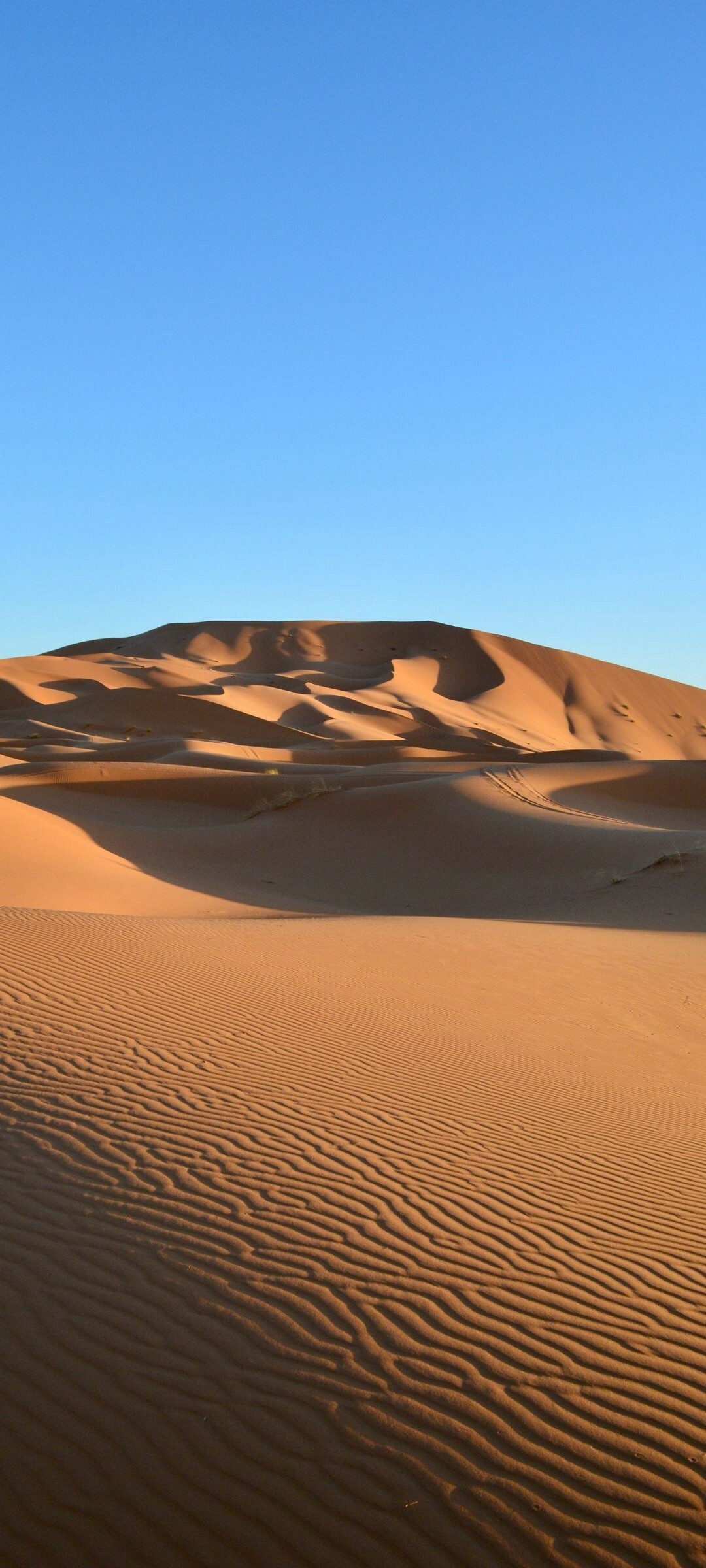 Cool desert vibes, Arid tranquility, Pristine wilderness, Serene sandscapes, 1080x2400 HD Phone