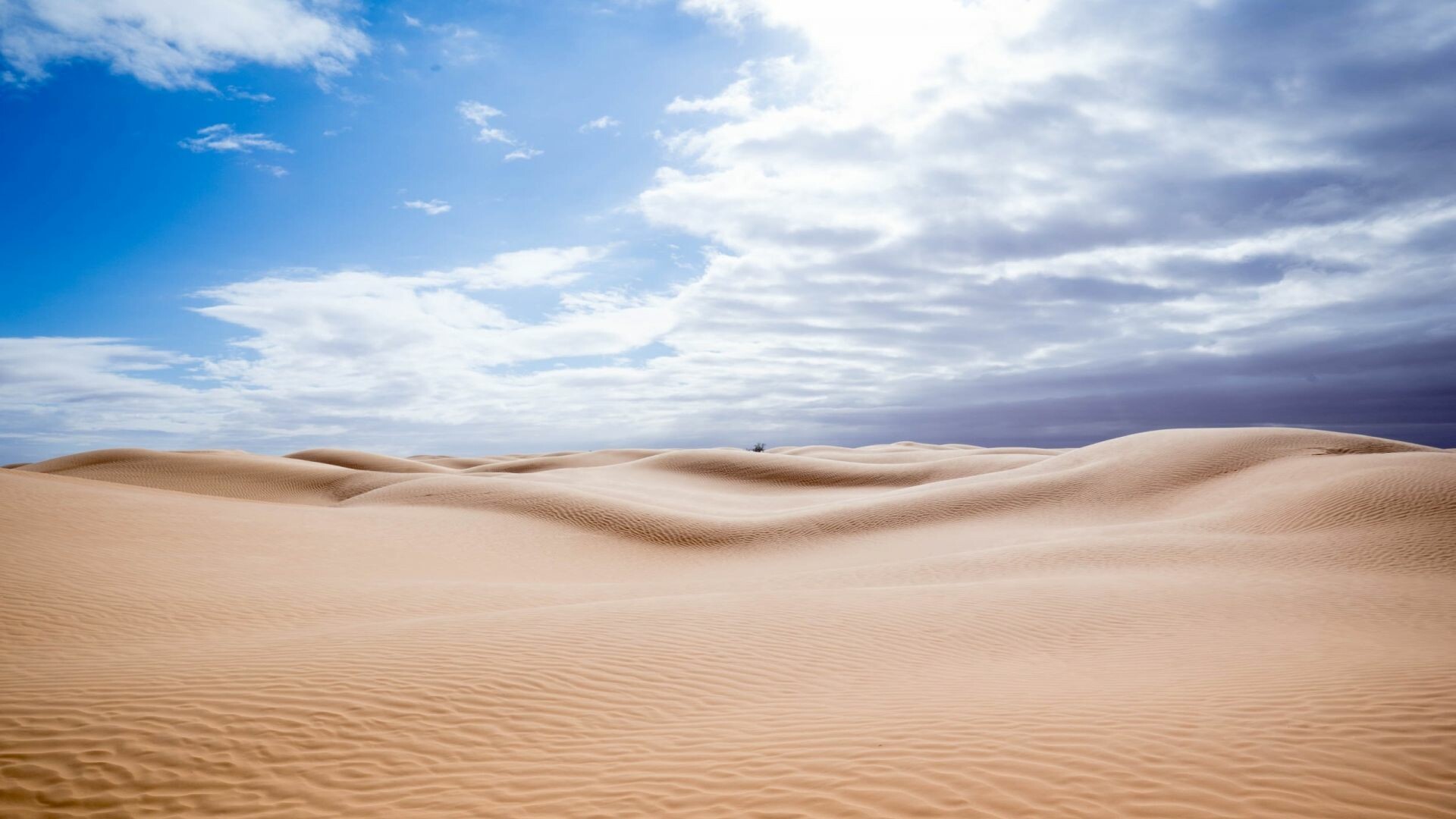 Sunny day desert, HD landscape wallpaper, Majestic dunes, Nature's golden canvas, 1920x1080 Full HD Desktop