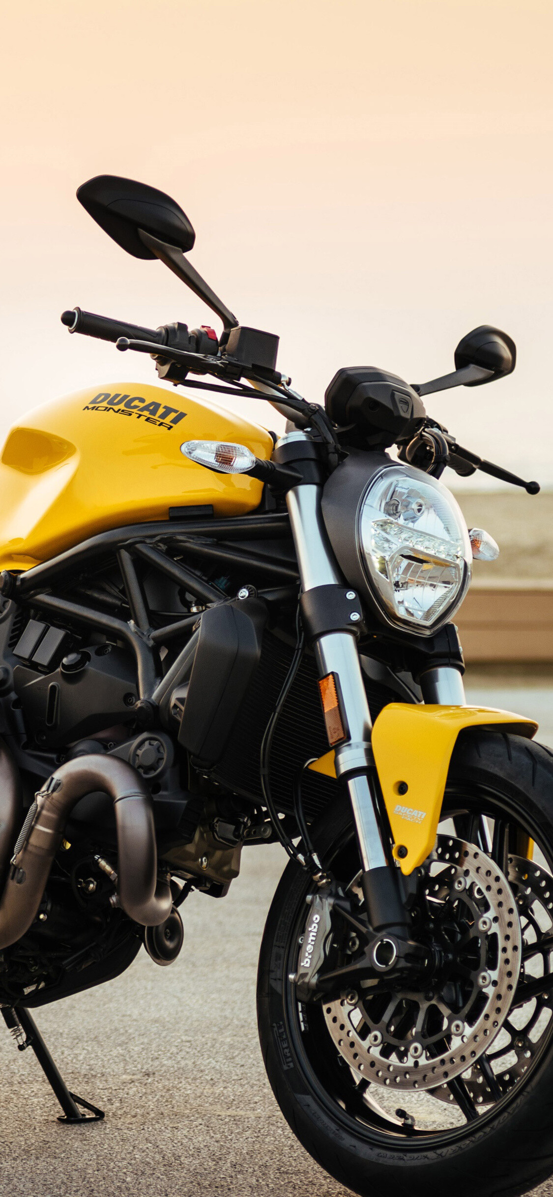 Ducati Monster 821 2017, Urban beast, Aggressive stance, Raw energy, 1130x2440 HD Phone