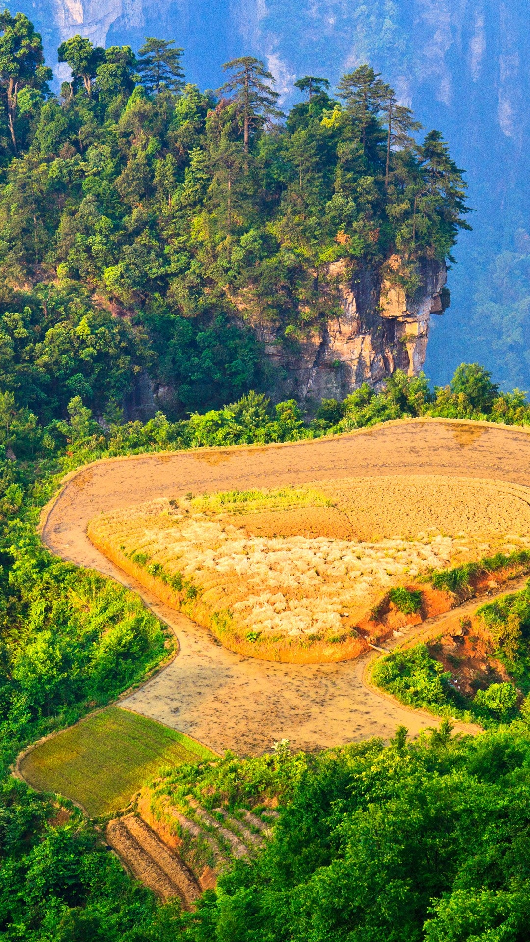 Zhangjiajie National Park, Breathtaking sunrise, Terraced fields, Windows 10 spotlight, 1080x1920 Full HD Phone