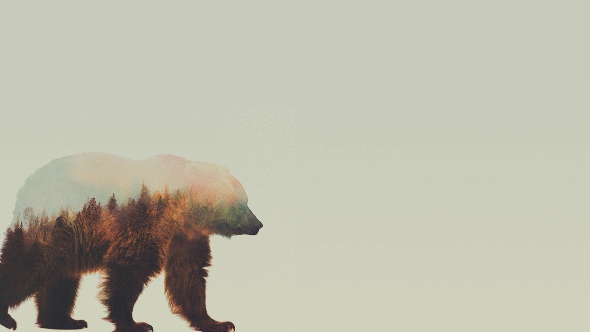 Bear wallpaper, Nature's beauty, Wilderness wonders, Breathtaking visuals, 1920x1080 Full HD Desktop