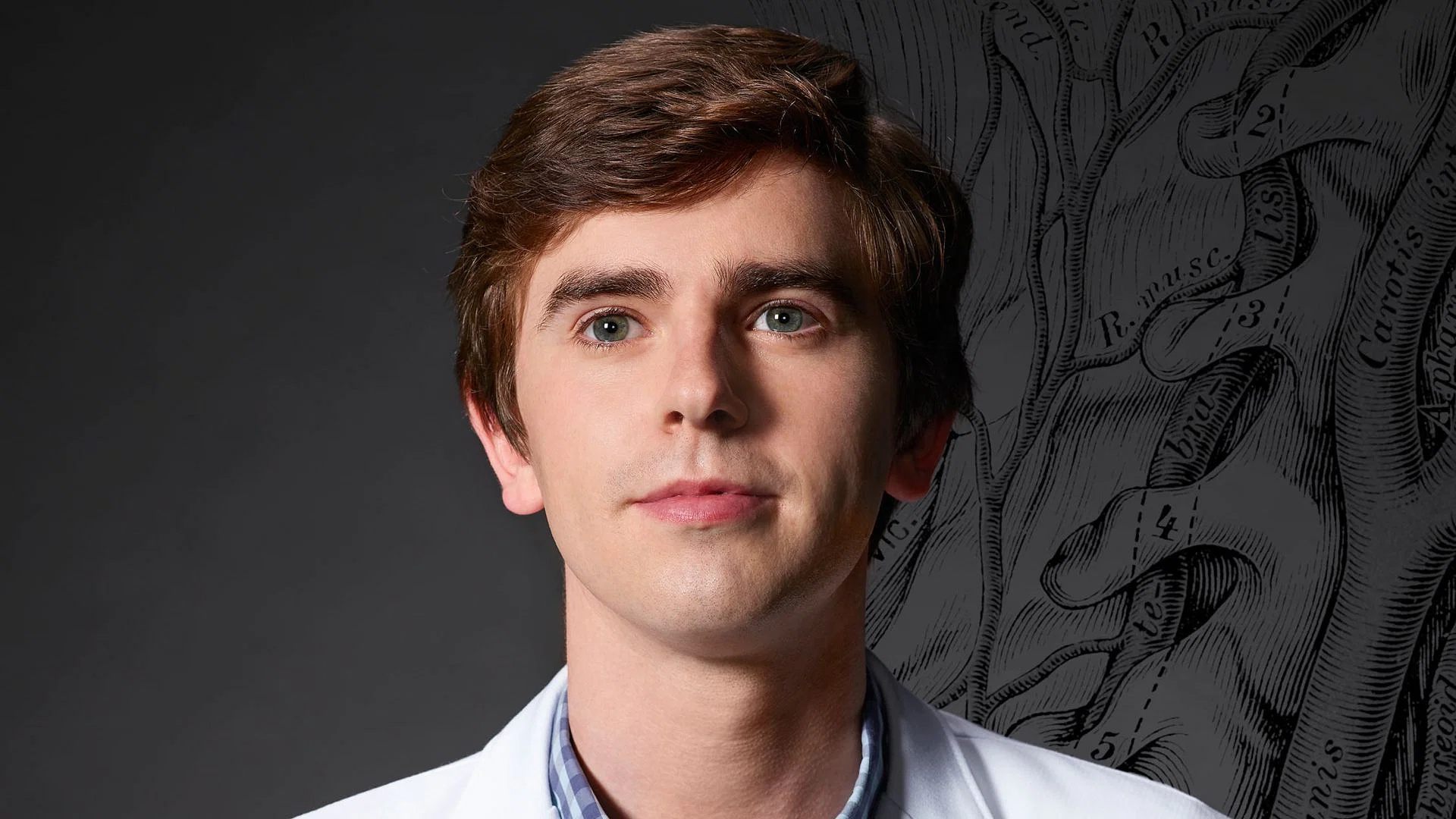 Dr. Shaun Murphy, TV show, Good doctor, Episode preview, 1920x1080 Full HD Desktop