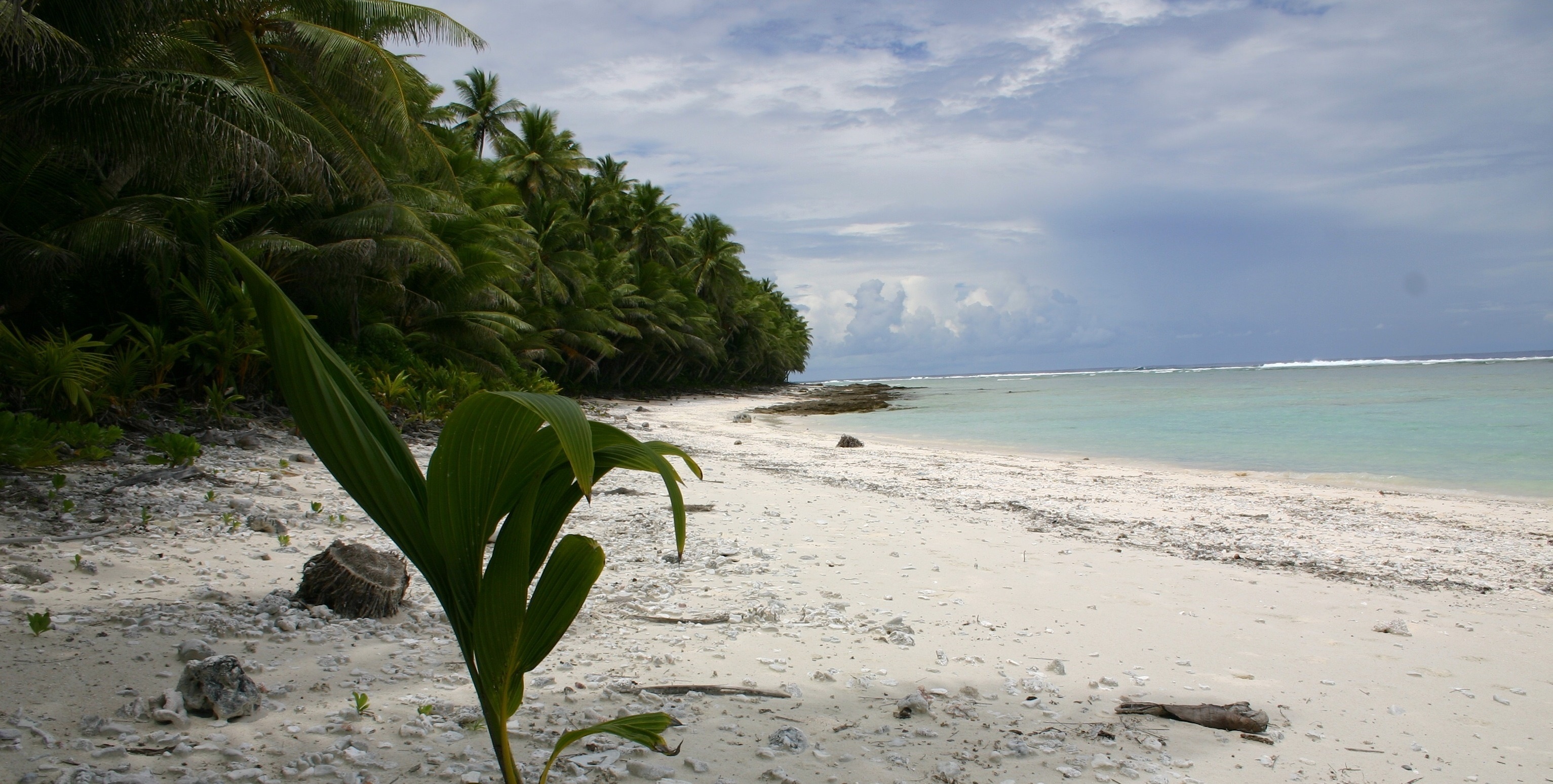 Samoa Reisetipps & Reiseberichte, Travels, Samoa, 3070x1550 HD Desktop