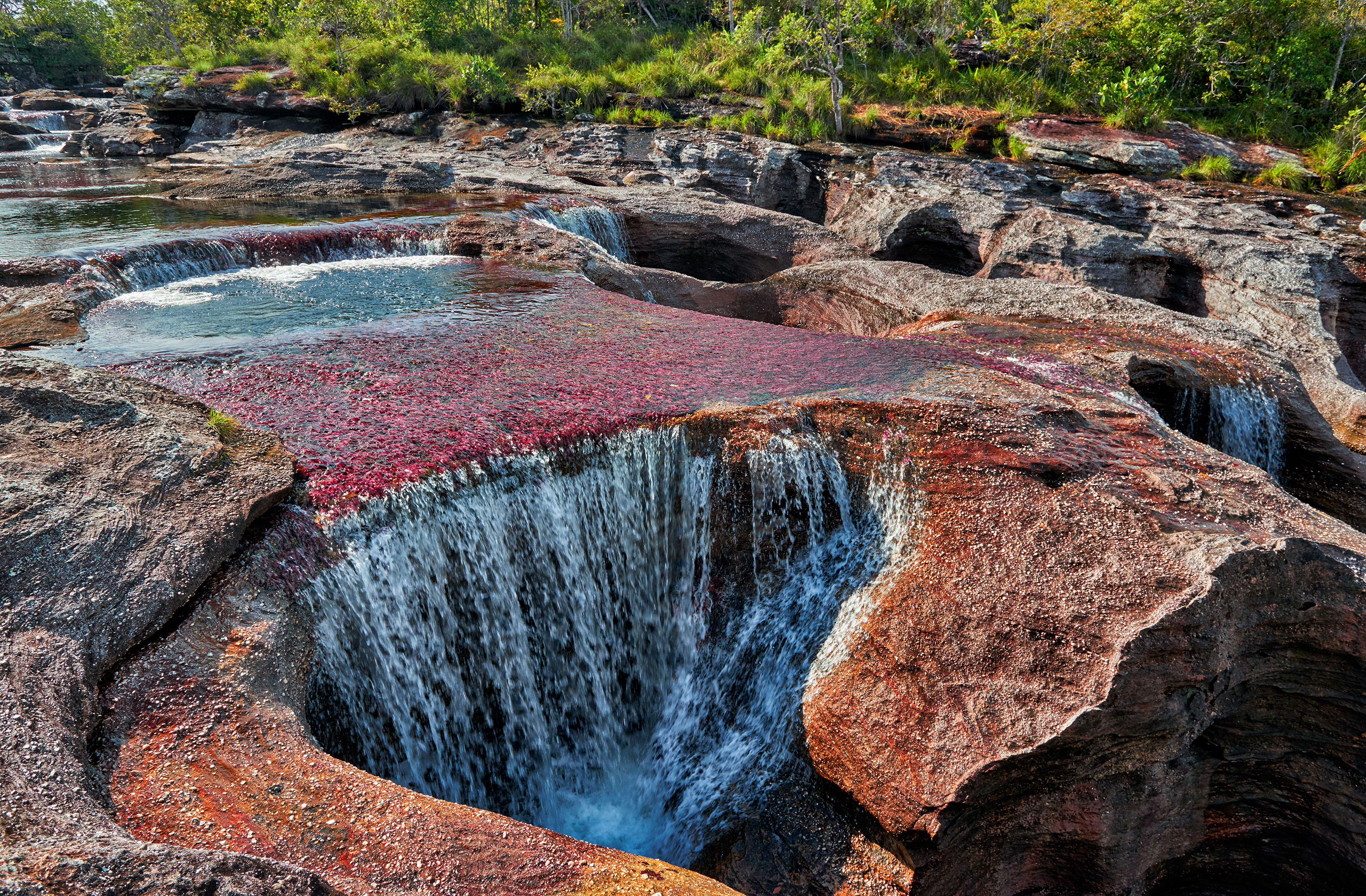 Serrania de la Macarena, Natural wonder, Spectacular liquid rainbow, Cao Cristales, 3000x1970 HD Desktop