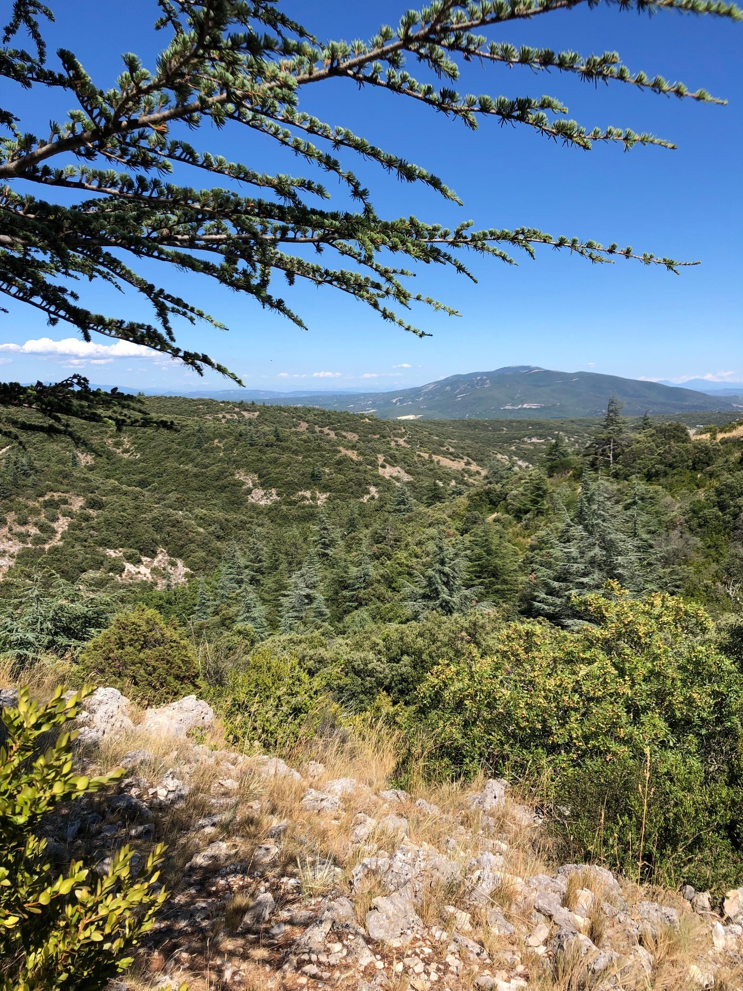 Luberon Regional Nature Park, Provence, Viewpoints, Outdoor Activities, 1520x2020 HD Phone