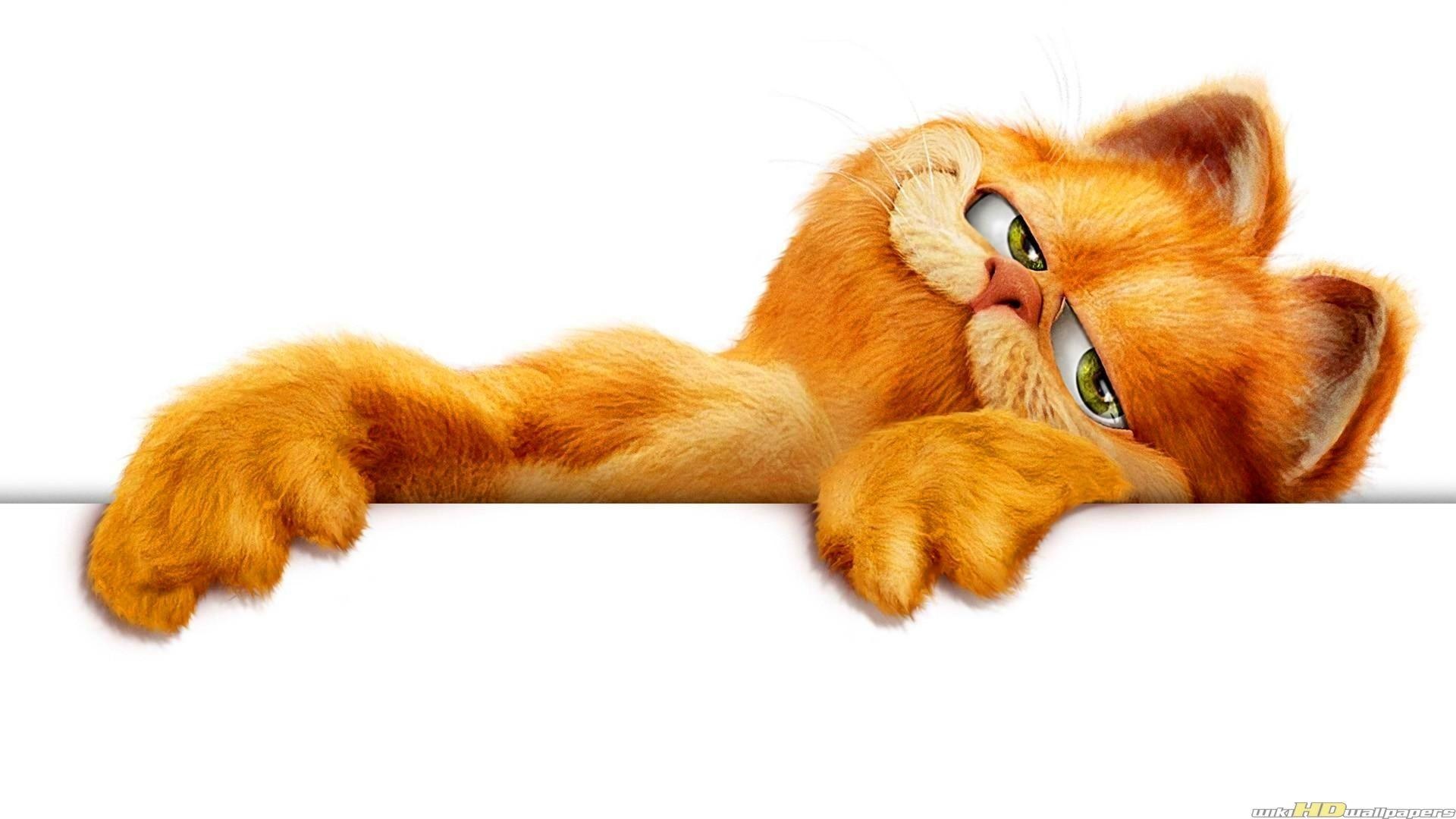 Garfield, Garfield HD wallpapers, Quirky comic cat, 1920x1080 Full HD Desktop