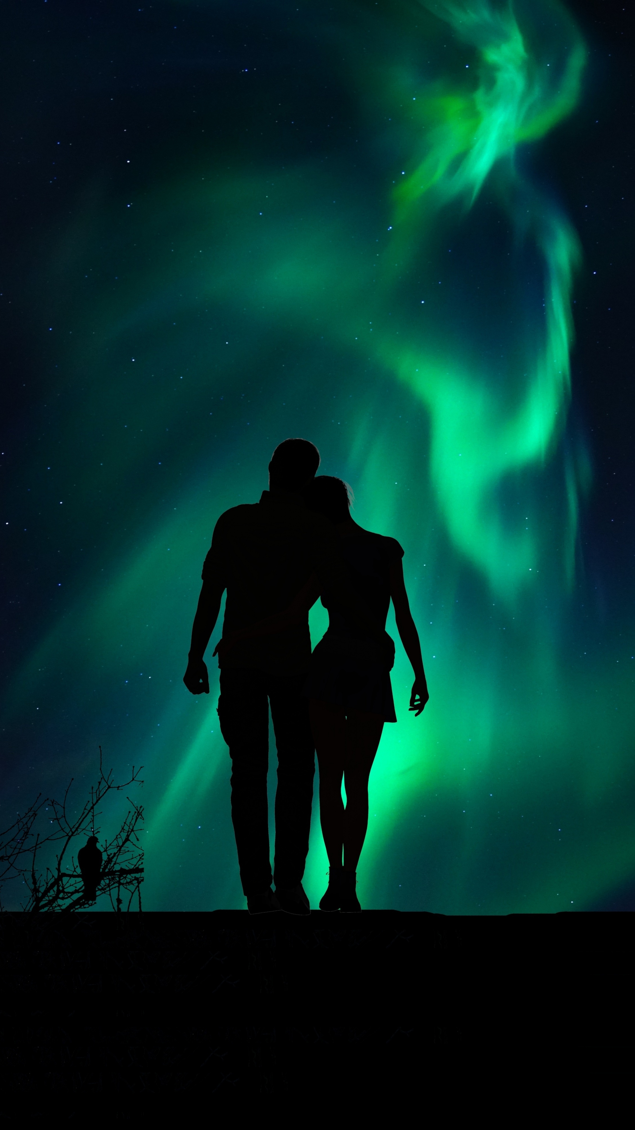 Northern Lights, Love Couples Wallpaper, 2160x3840 4K Phone