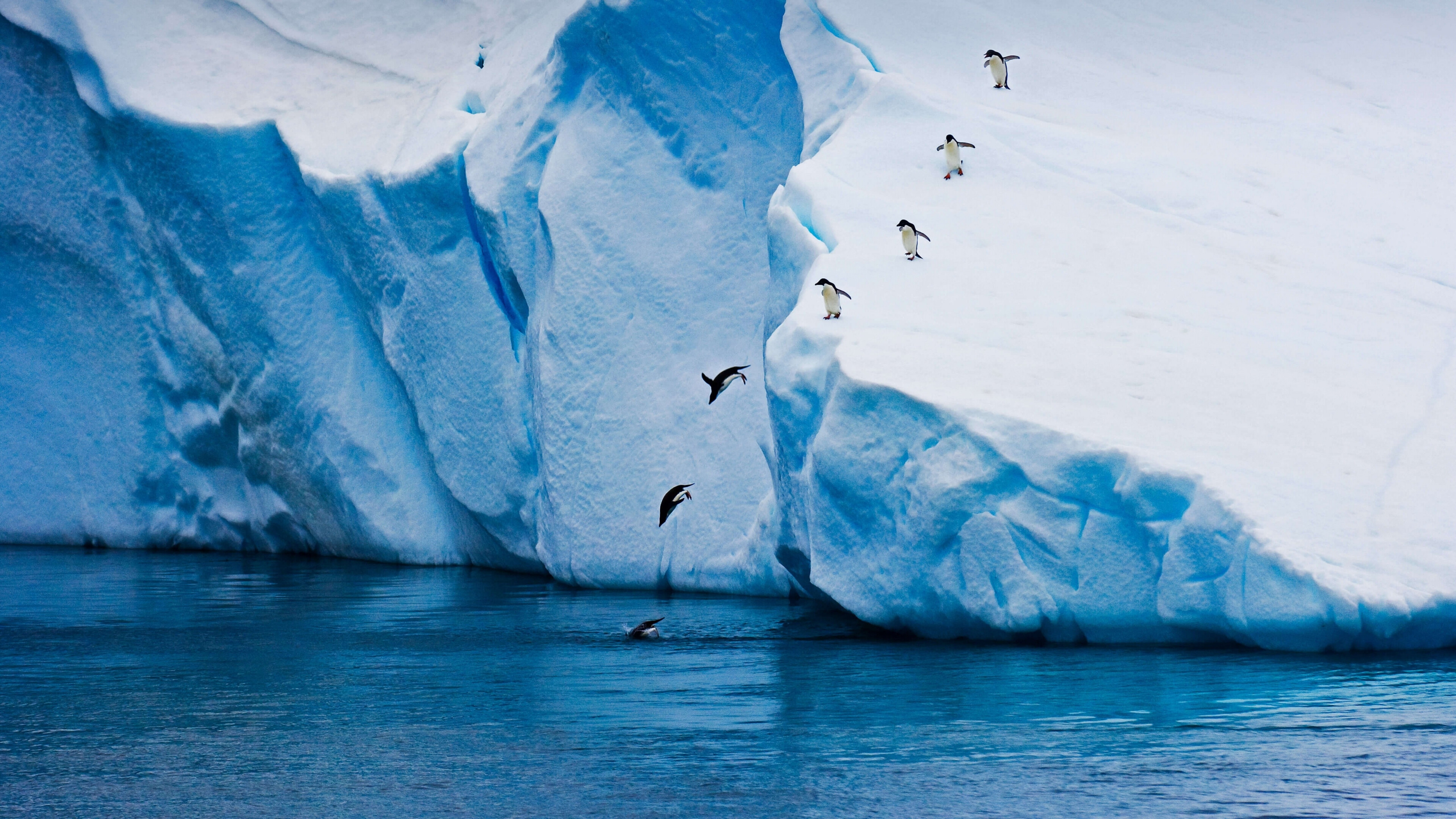 Glacier, Penguin jump, Ice winter nature, UHD wallpaper, 3840x2160 4K Desktop