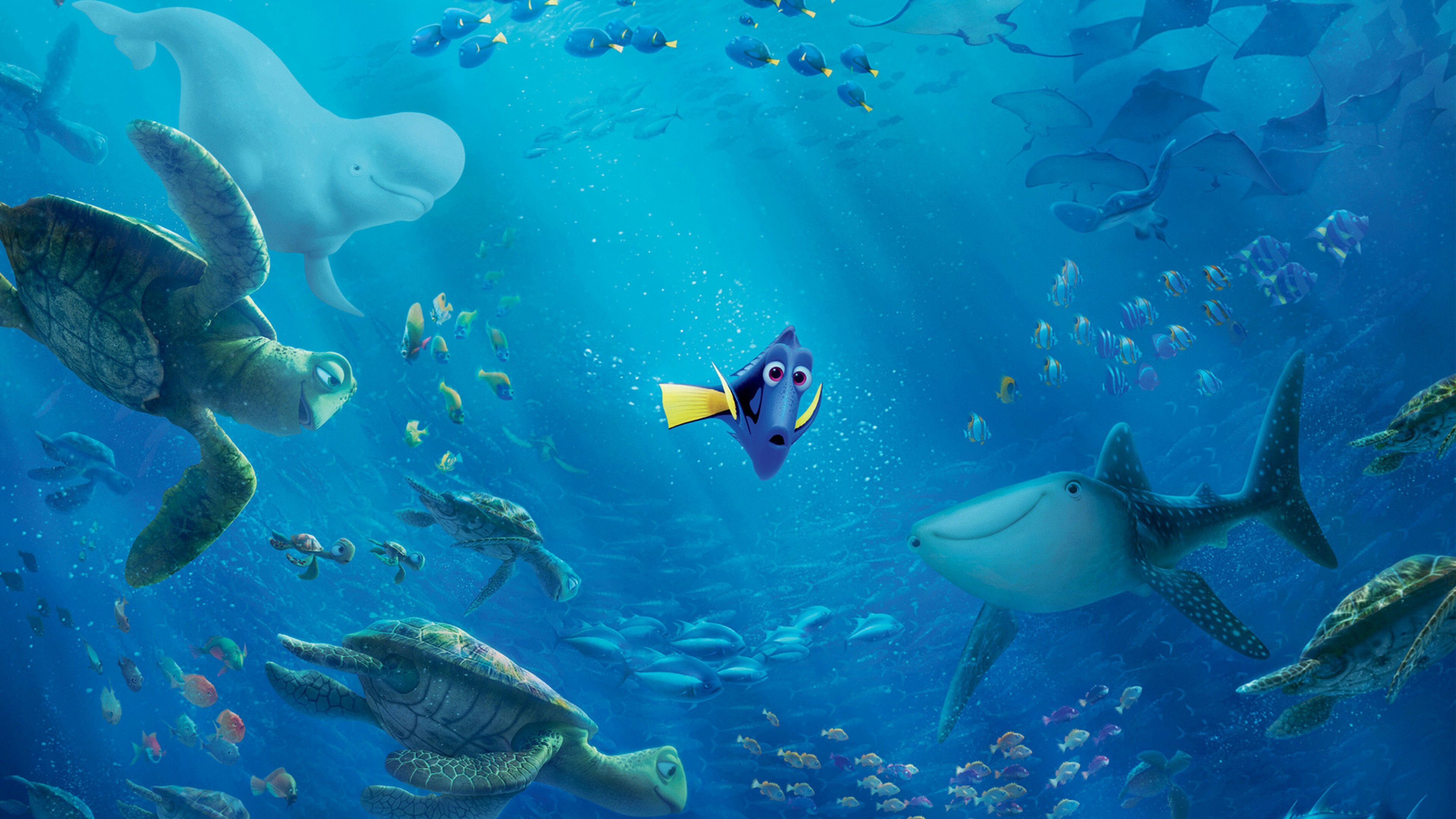 Finding Dory, HD wallpaper, Desktop and mobile, 4K Ultra HD, 3840x2160 4K Desktop