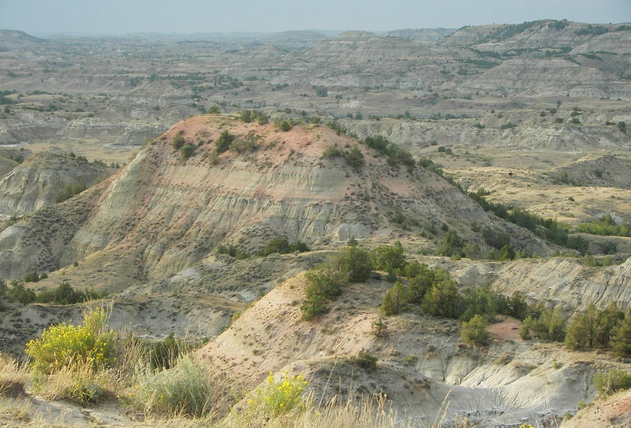 Theodore Roosevelt National Park, Wildlife encounters, Scenic landscapes, Natural beauty, 2050x1390 HD Desktop