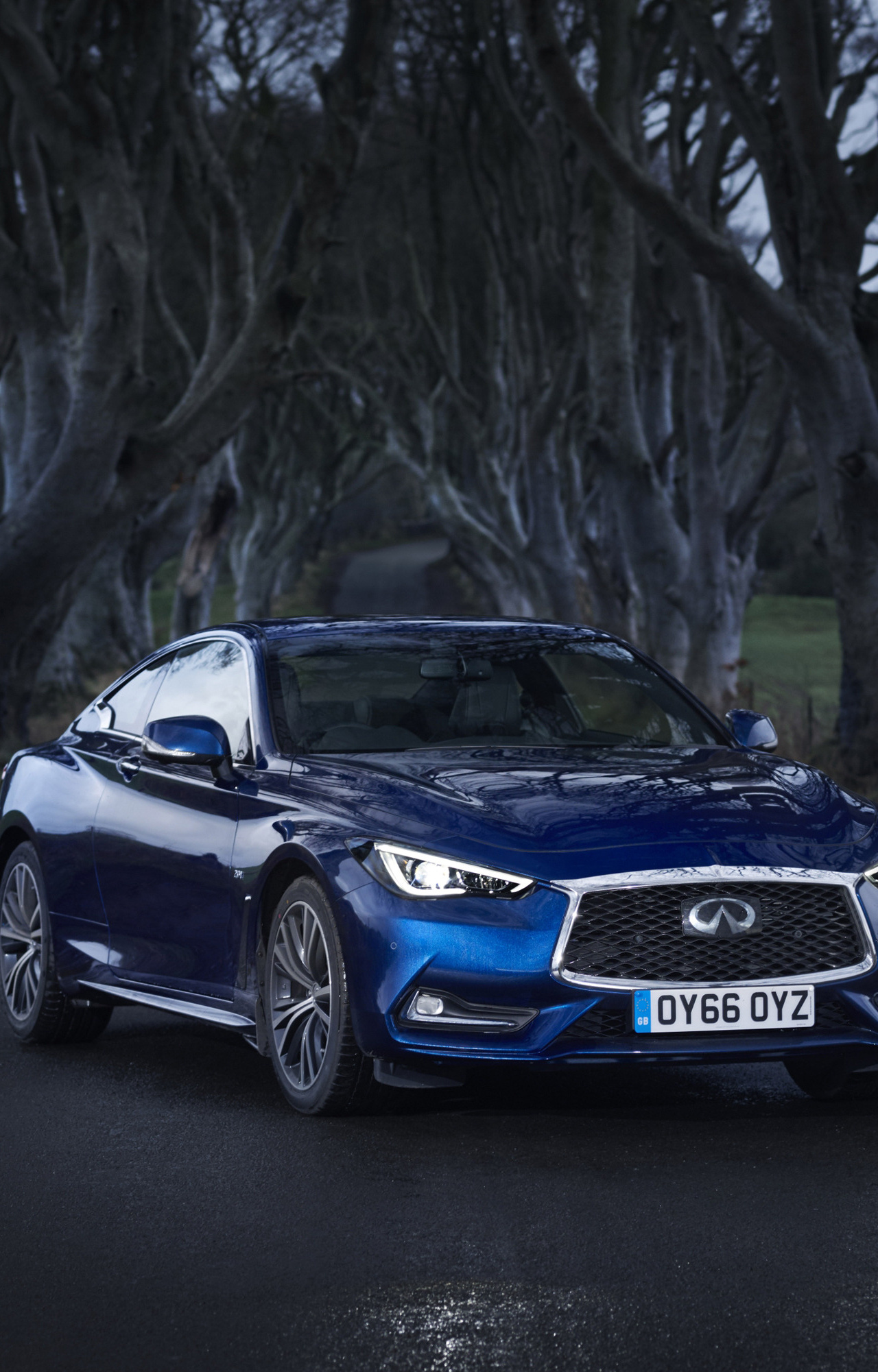 Infiniti Q60, Dirt road, Luxury car, Image background, 1280x2010 HD Phone