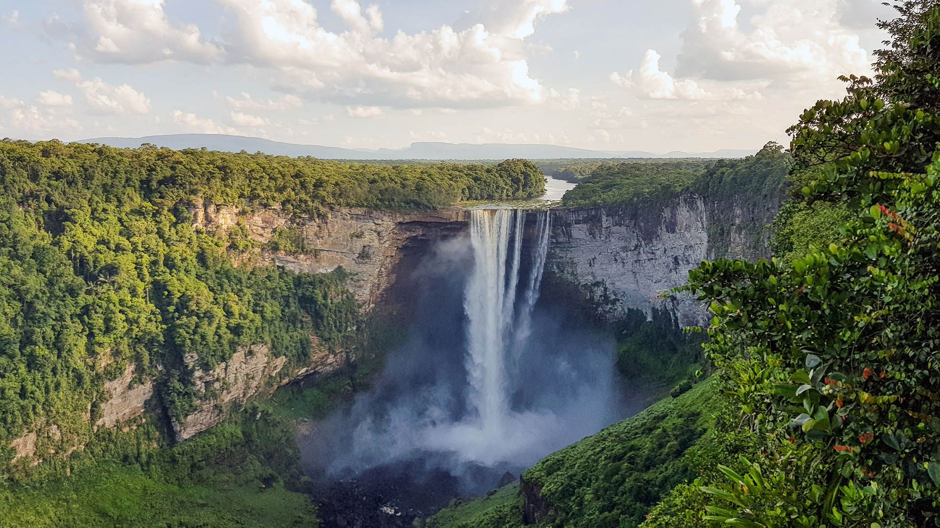 Undiscovered wilderness, Jungle safari, Thrilling experiences, Nature's wonders, 1920x1080 Full HD Desktop