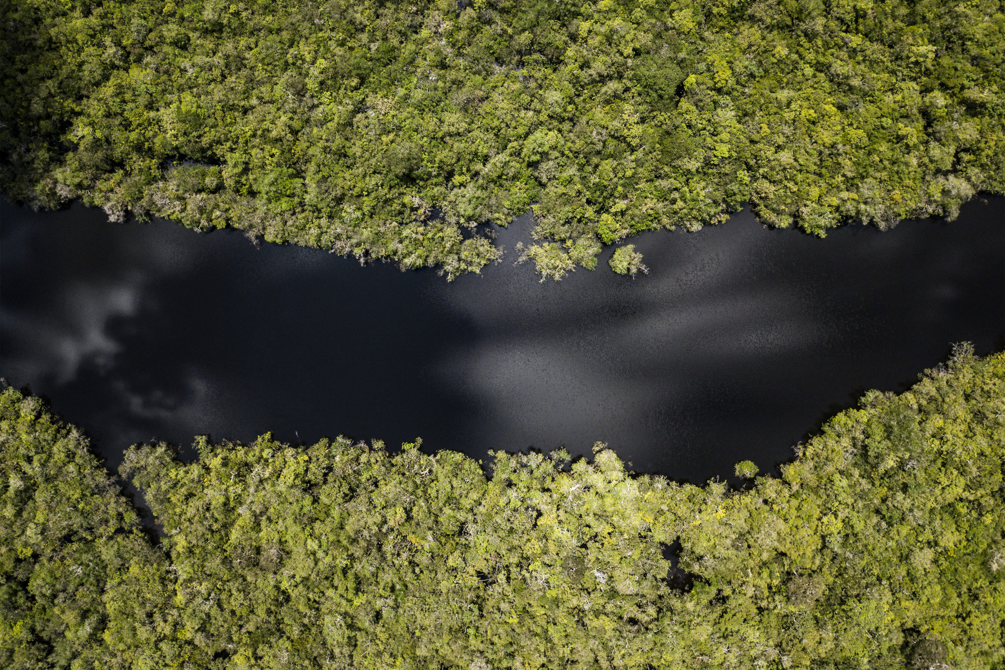 Amazon River, Enigmatic waters, Remote exploration, Wildlife encounters, 2050x1370 HD Desktop