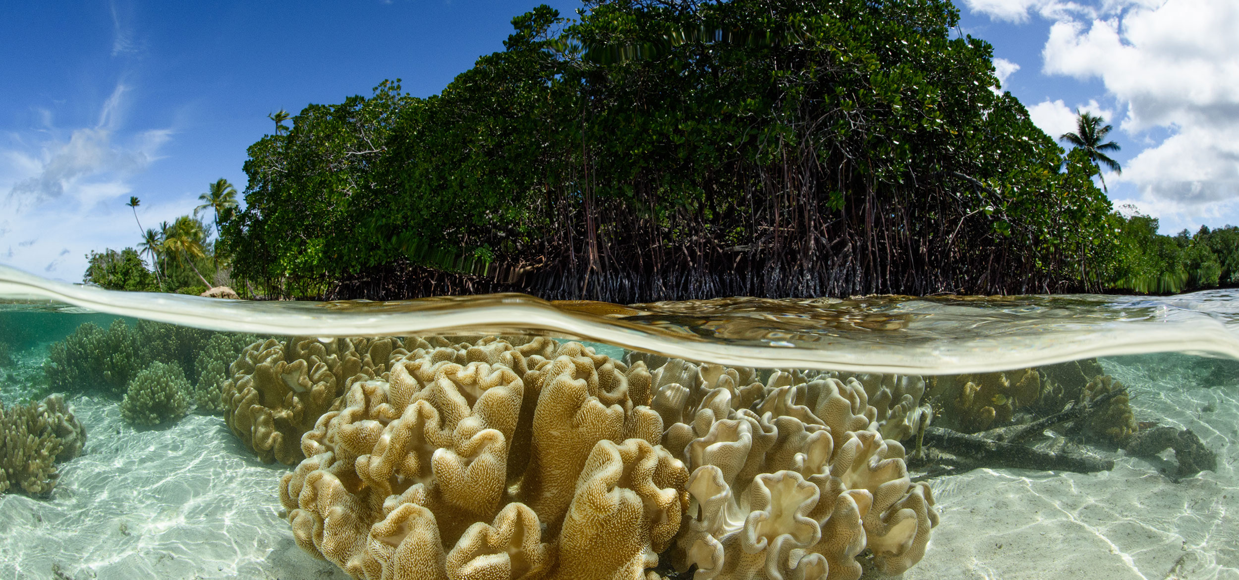 Study abroad, Solomon Islands, Educational opportunity, Cultural immersion, 2500x1170 Dual Screen Desktop