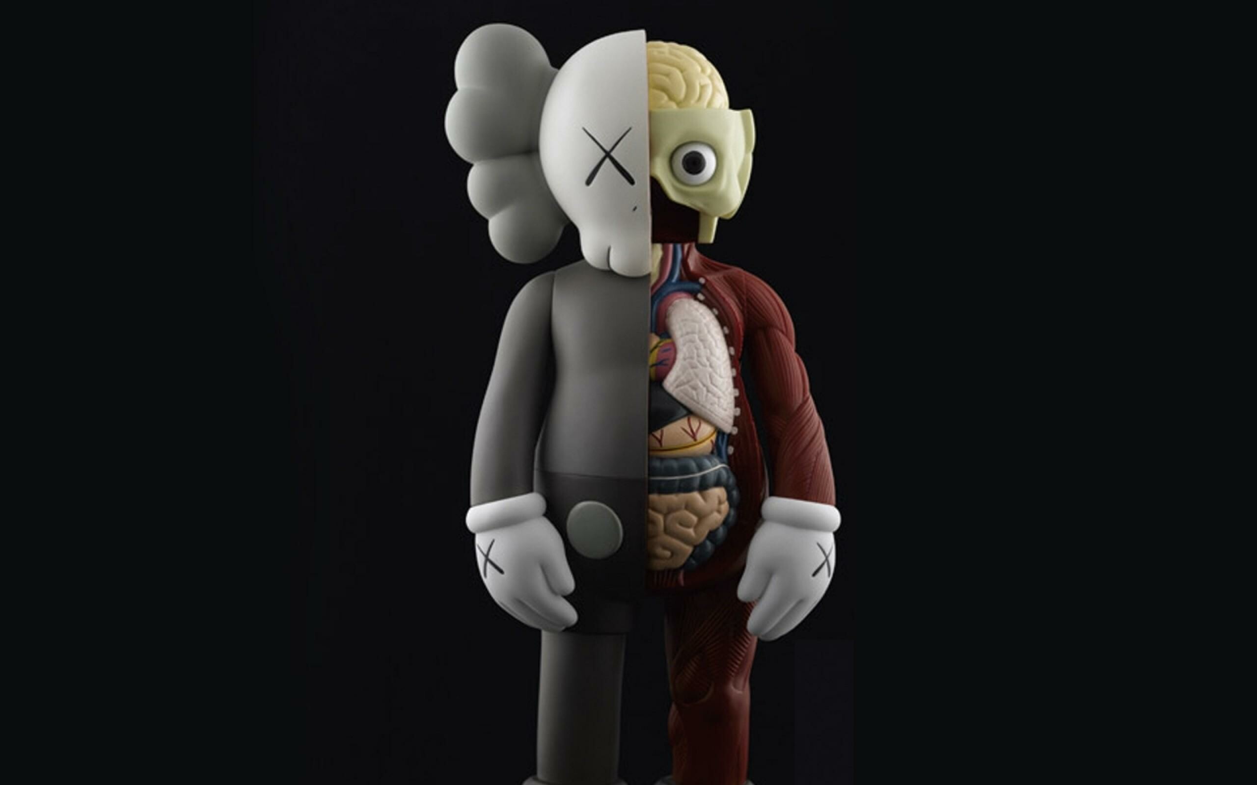 KAWS desktop wallpapers, Unique designs, Artistic visuals, Creative expression, 2560x1600 HD Desktop