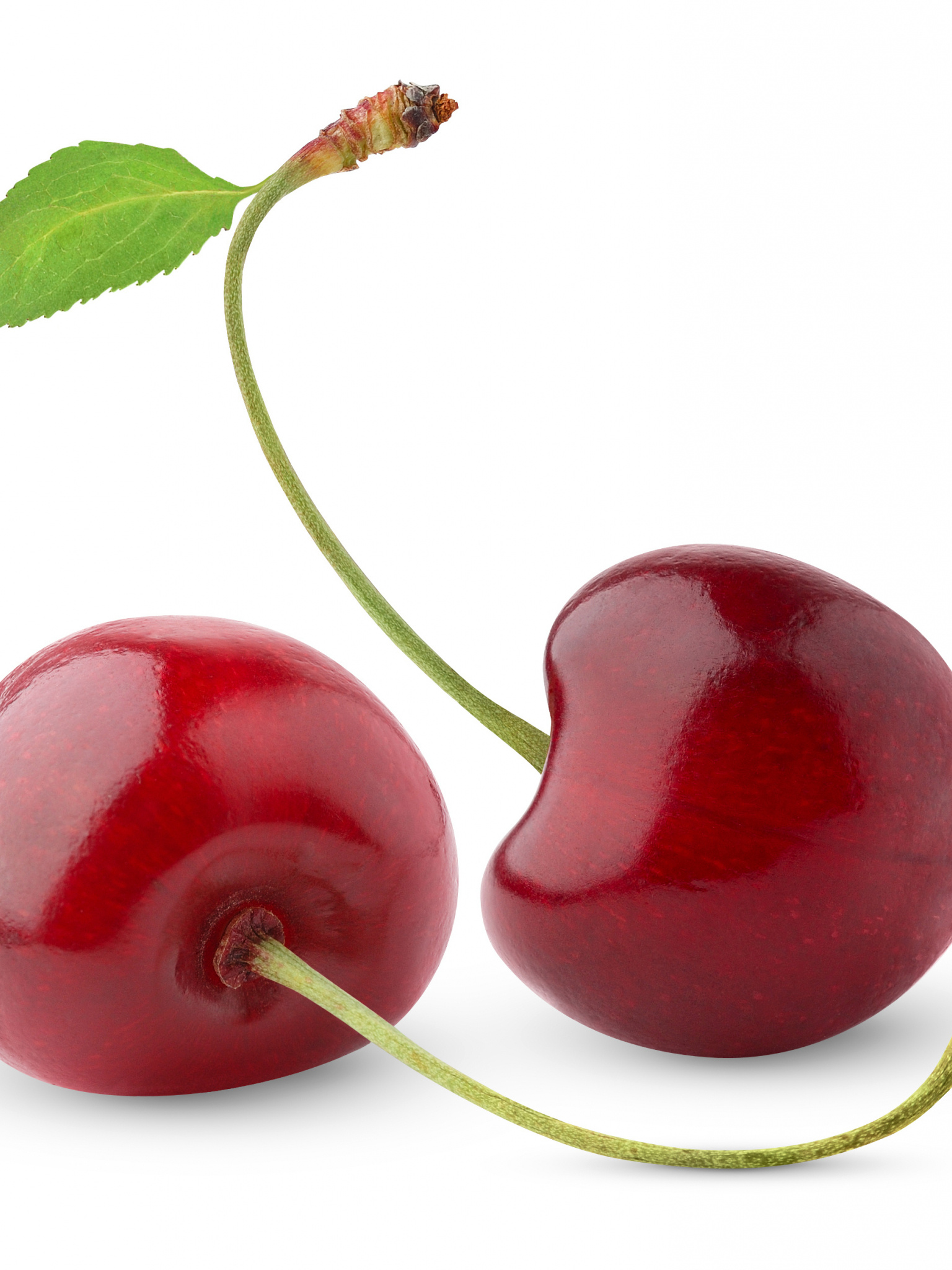 Cherries