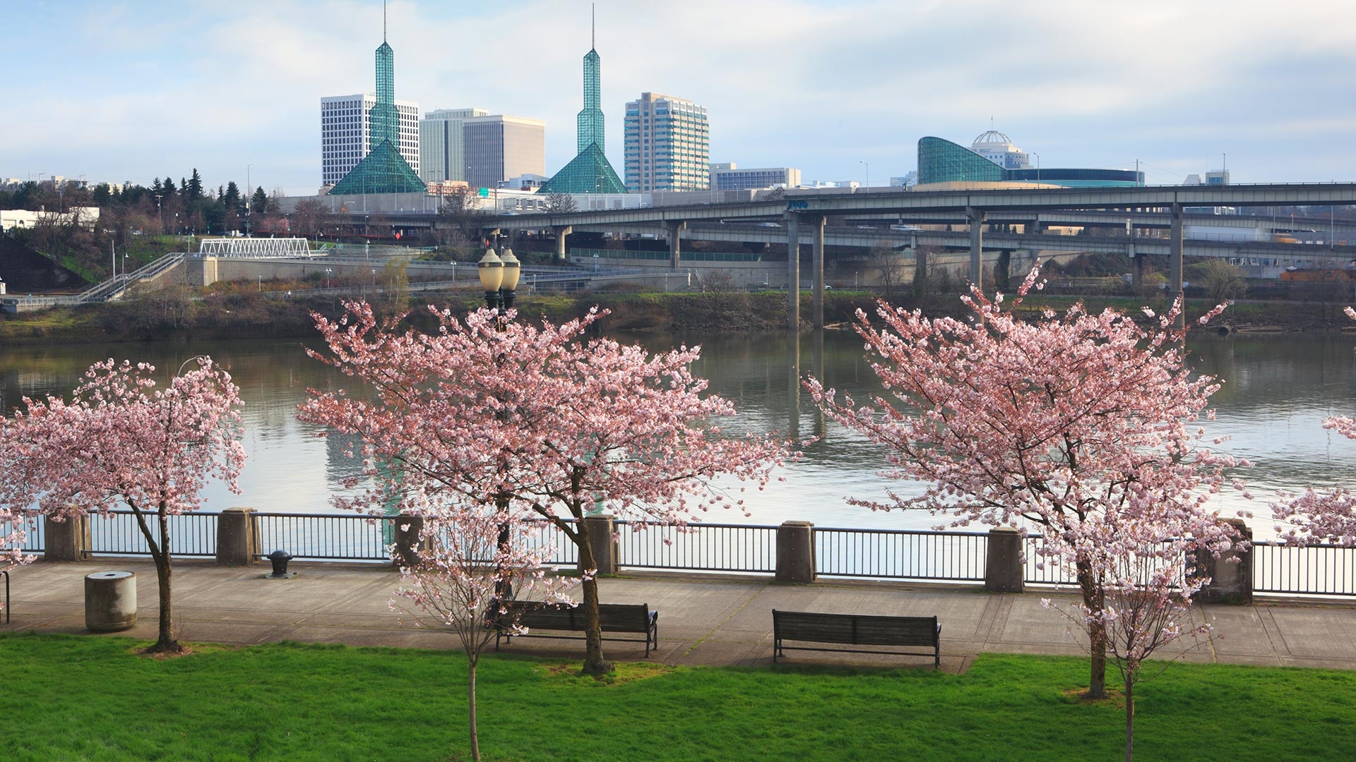 Portland Oregon Skyline, Travels, Weekend guide, Marriott Bonvoy, 1920x1080 Full HD Desktop