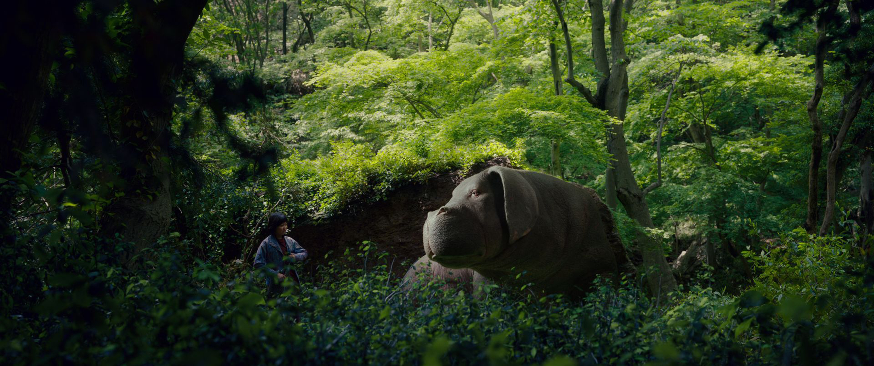 Okja, Netflix, Not so little piggy, Boston Globe, 2880x1210 Dual Screen Desktop