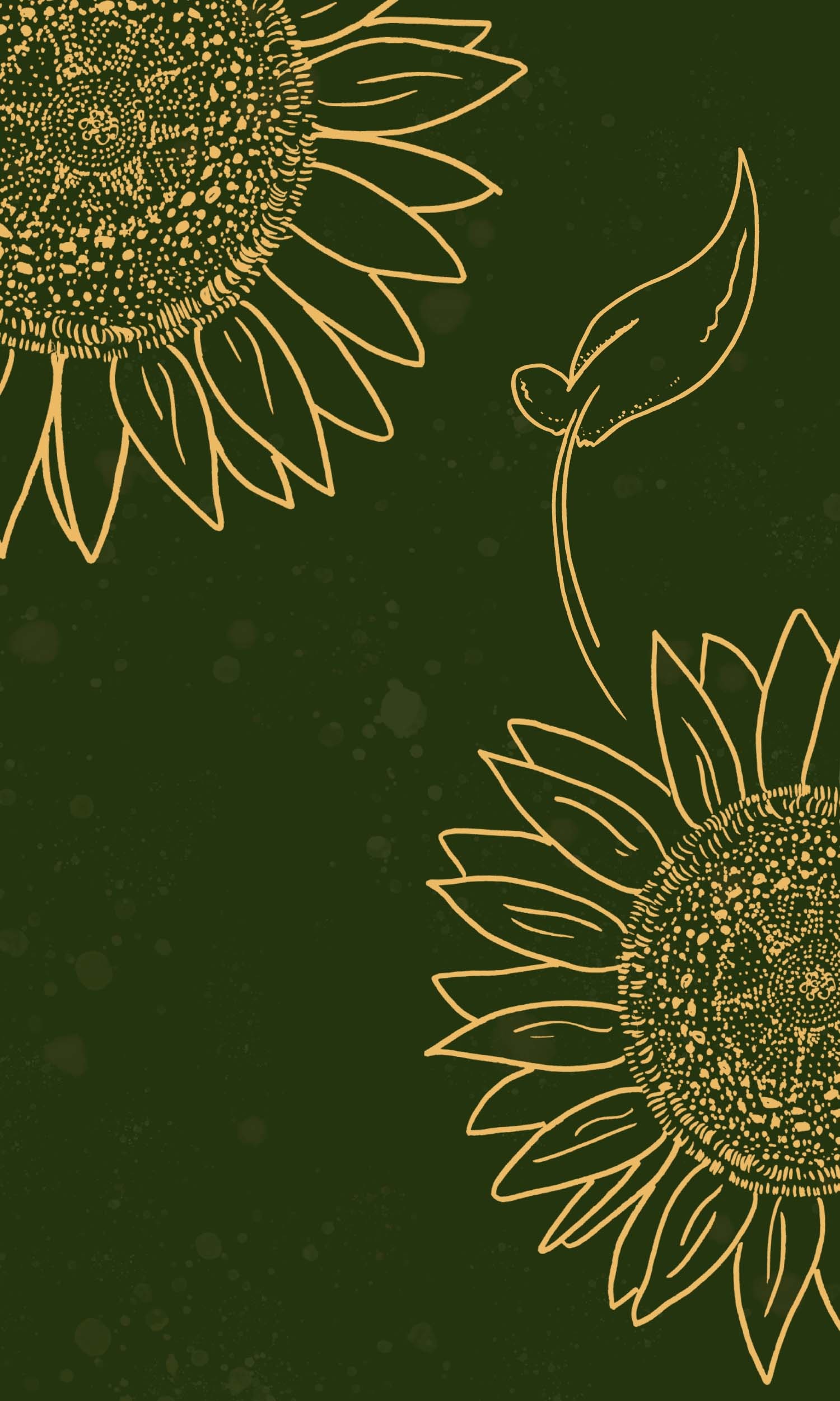 Sunflowers, For iPhone Wallpaper, 1500x2500 HD Phone