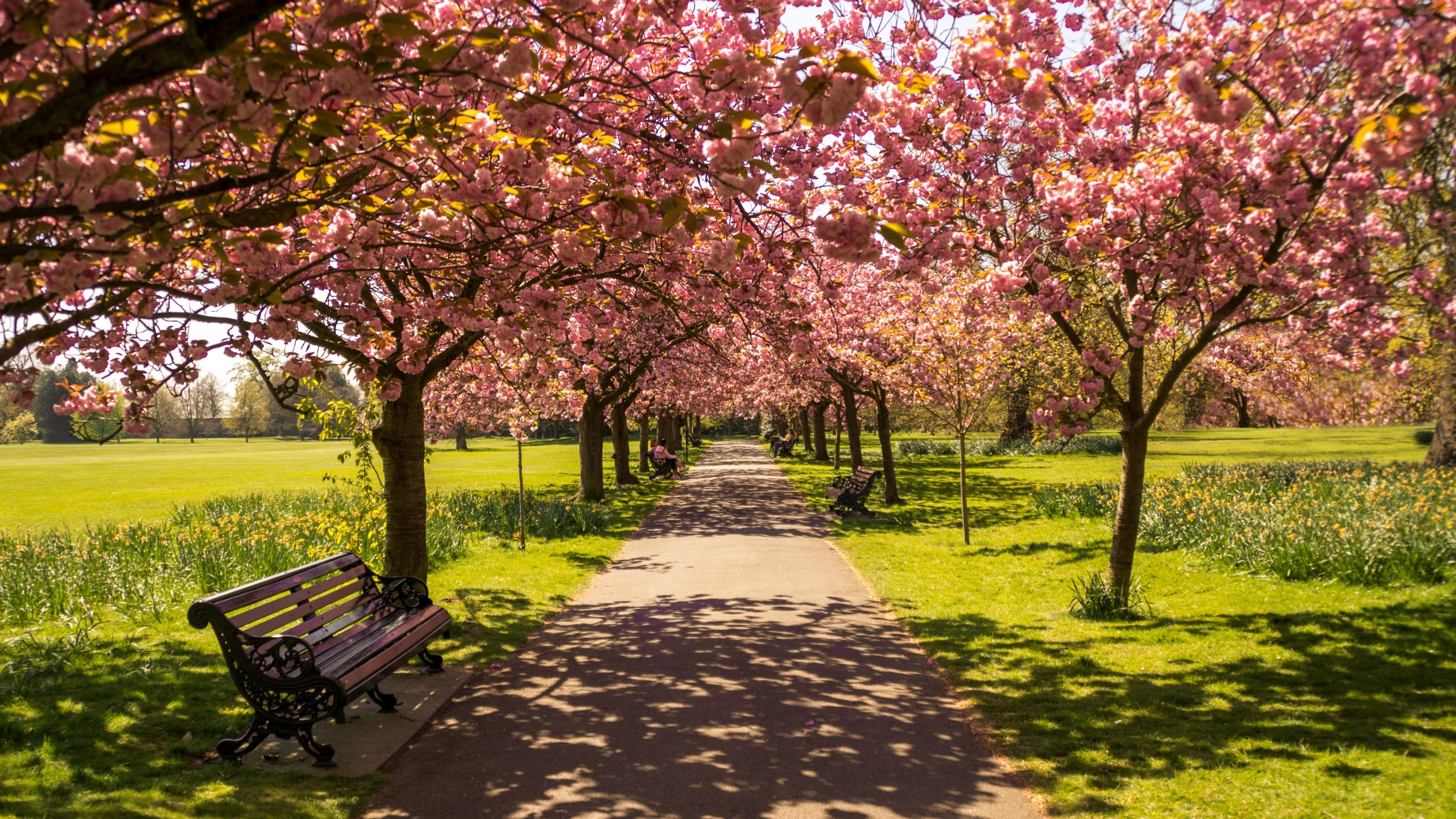 Hyde Park, London, Serenity, Nature, 3840x2160 4K Desktop