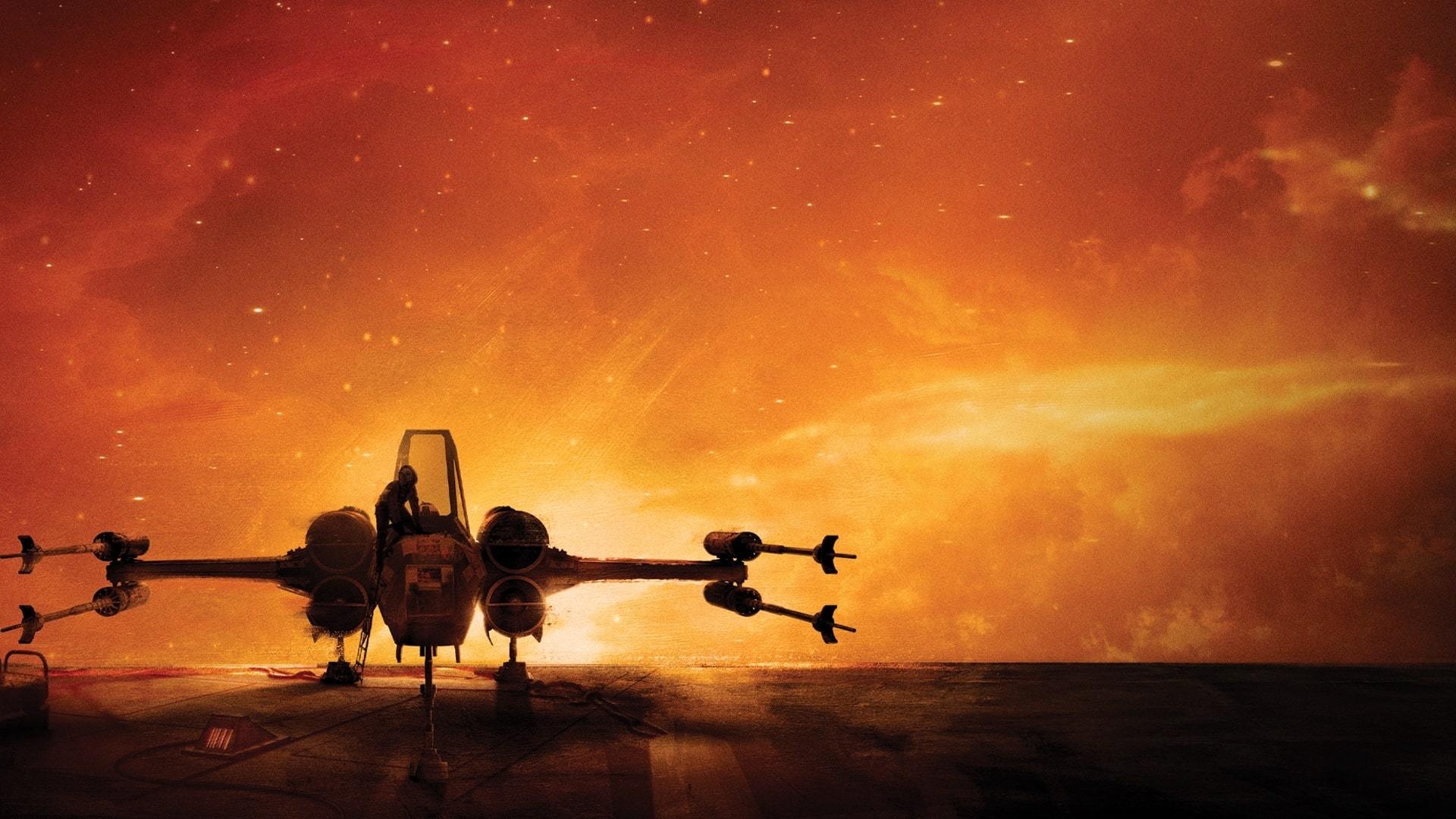 Patty Jenkins, Rogue Squadron wallpapers, Fan favorites, Top choices, 1920x1080 Full HD Desktop