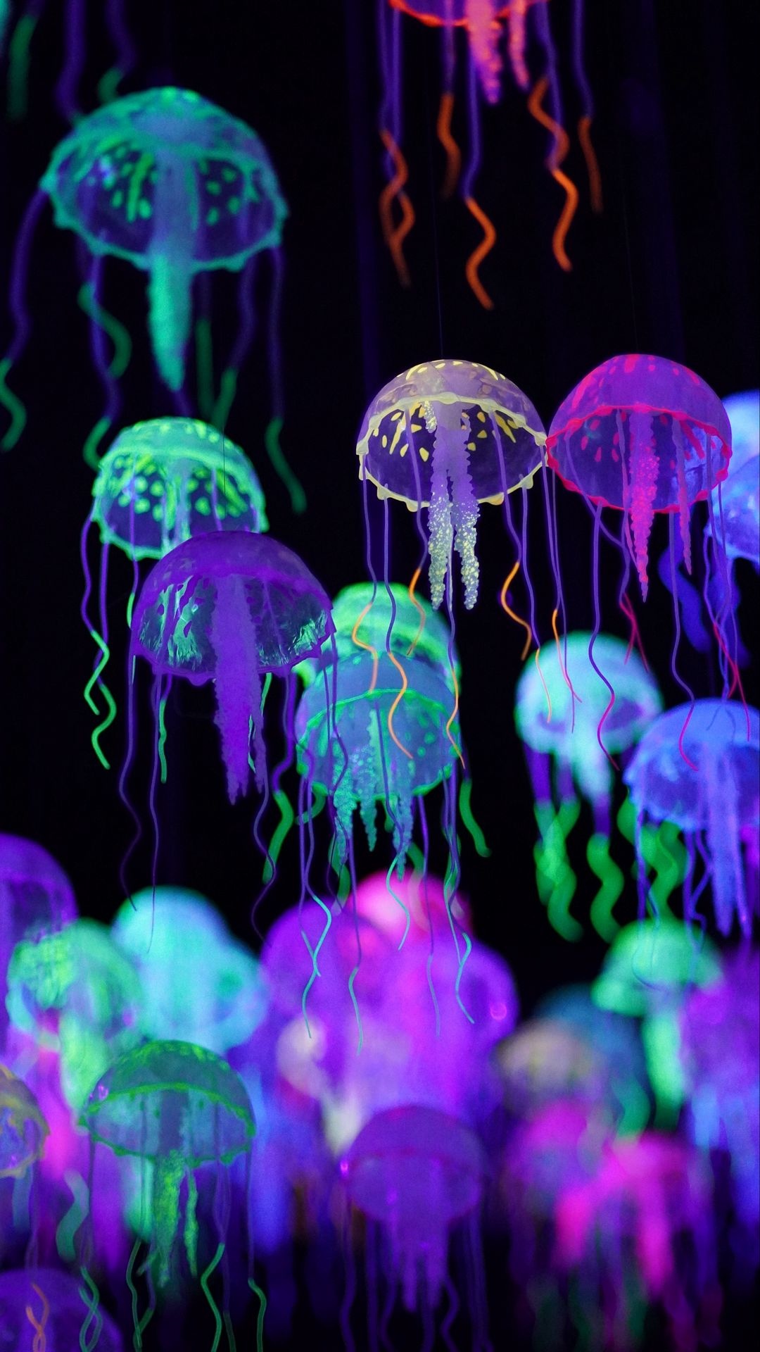 Neon, Jellyfish Wallpaper, 1080x1920 Full HD Phone