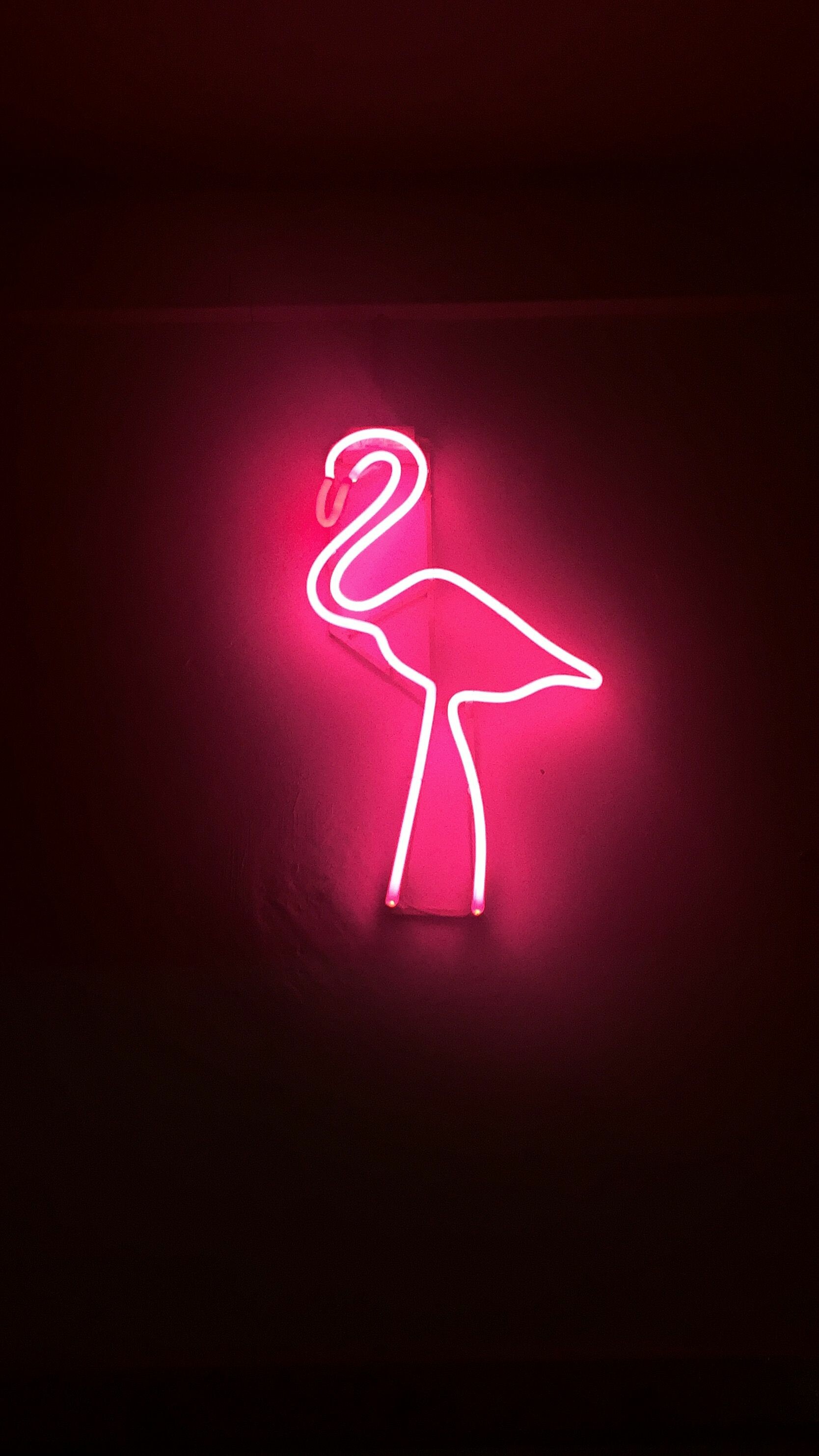 Neon, Flamingos Wallpaper, 1670x2970 HD Phone