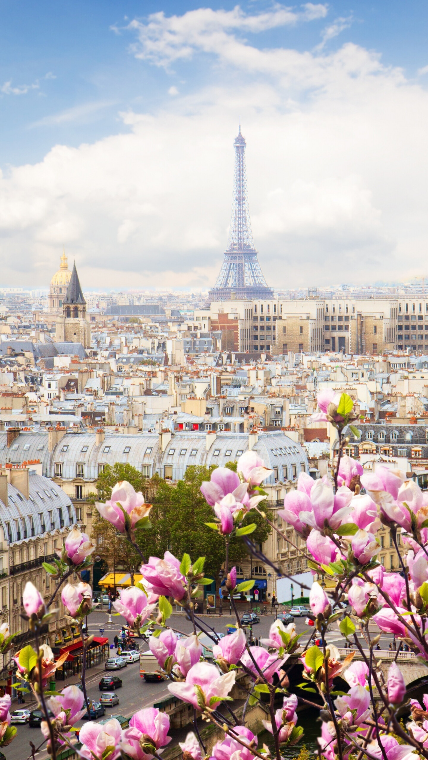 Eiffel Tower, Paris, Flowers, Beautiful blossom, 1440x2560 HD Phone