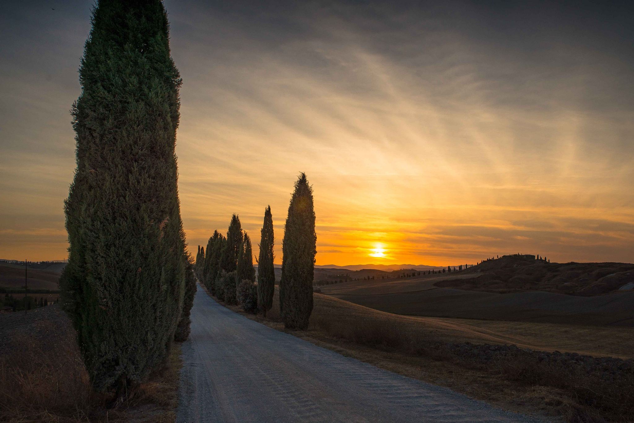 Sunset tree, Evening clouds, Road sky, Cypress, 2050x1370 HD Desktop