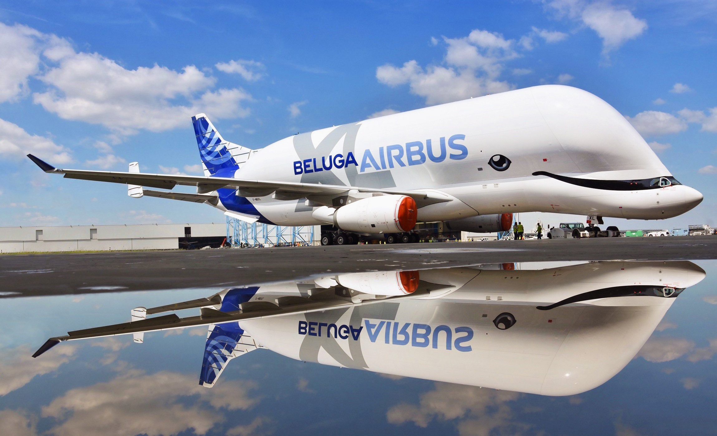 Beluga, Airbus Wallpaper, 2300x1400 HD Desktop