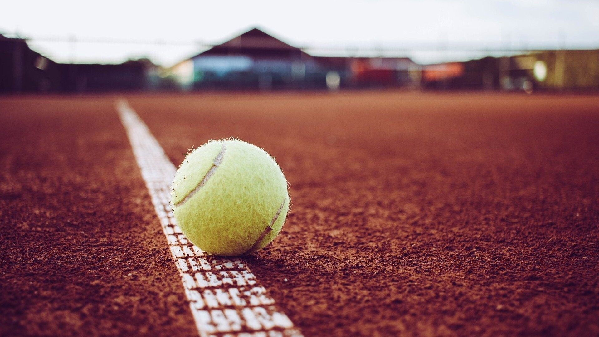 Tennis ball vibes, Grand Slam fever, Tennis court action, Exciting rallies, 1920x1080 Full HD Desktop