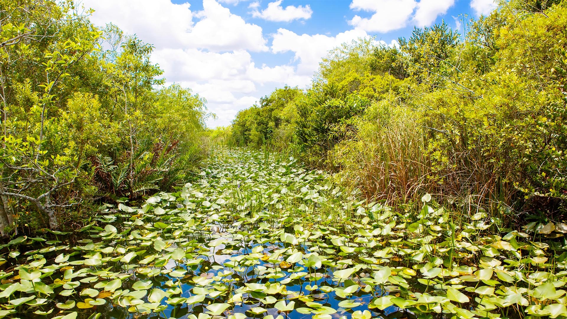 Everglades National Park, America's national parks, Explore 29 wallpapers, Nation's beauty, 1920x1080 Full HD Desktop