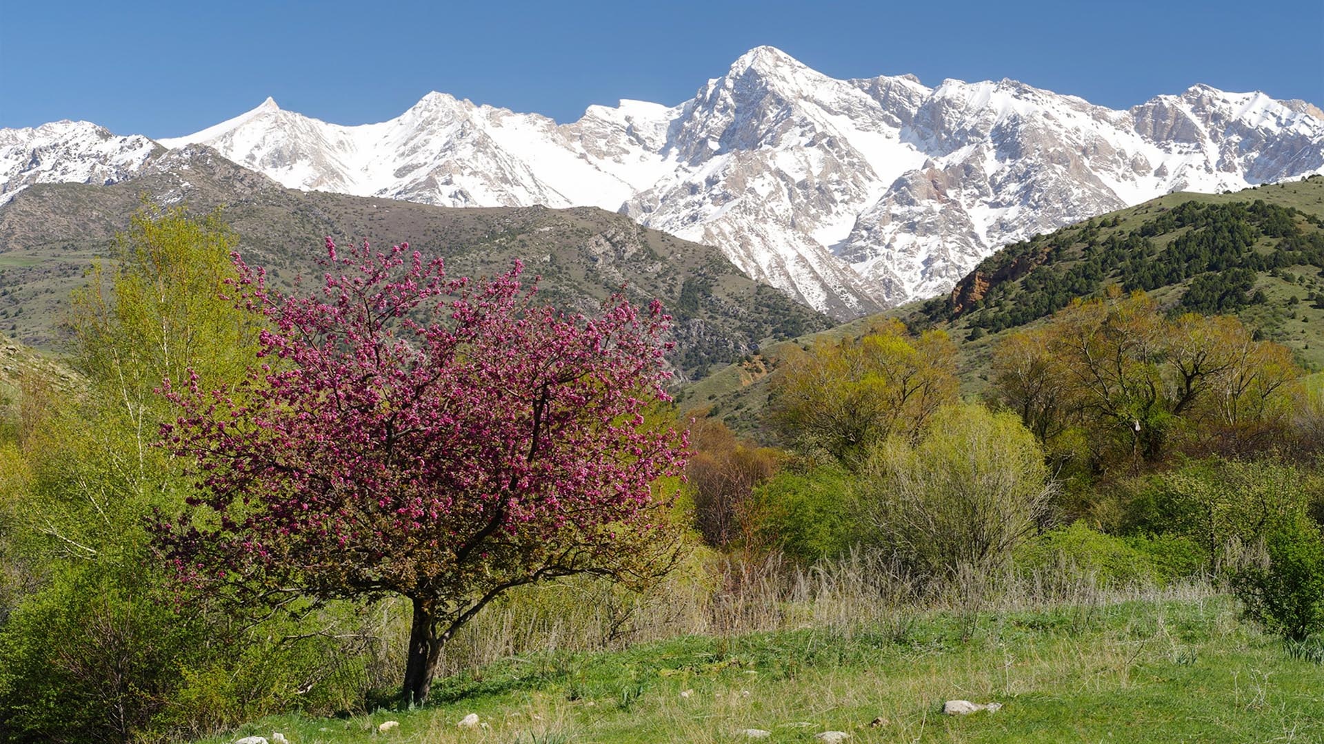 Kazakhstan Esik photo, 1920x1080 Full HD Desktop