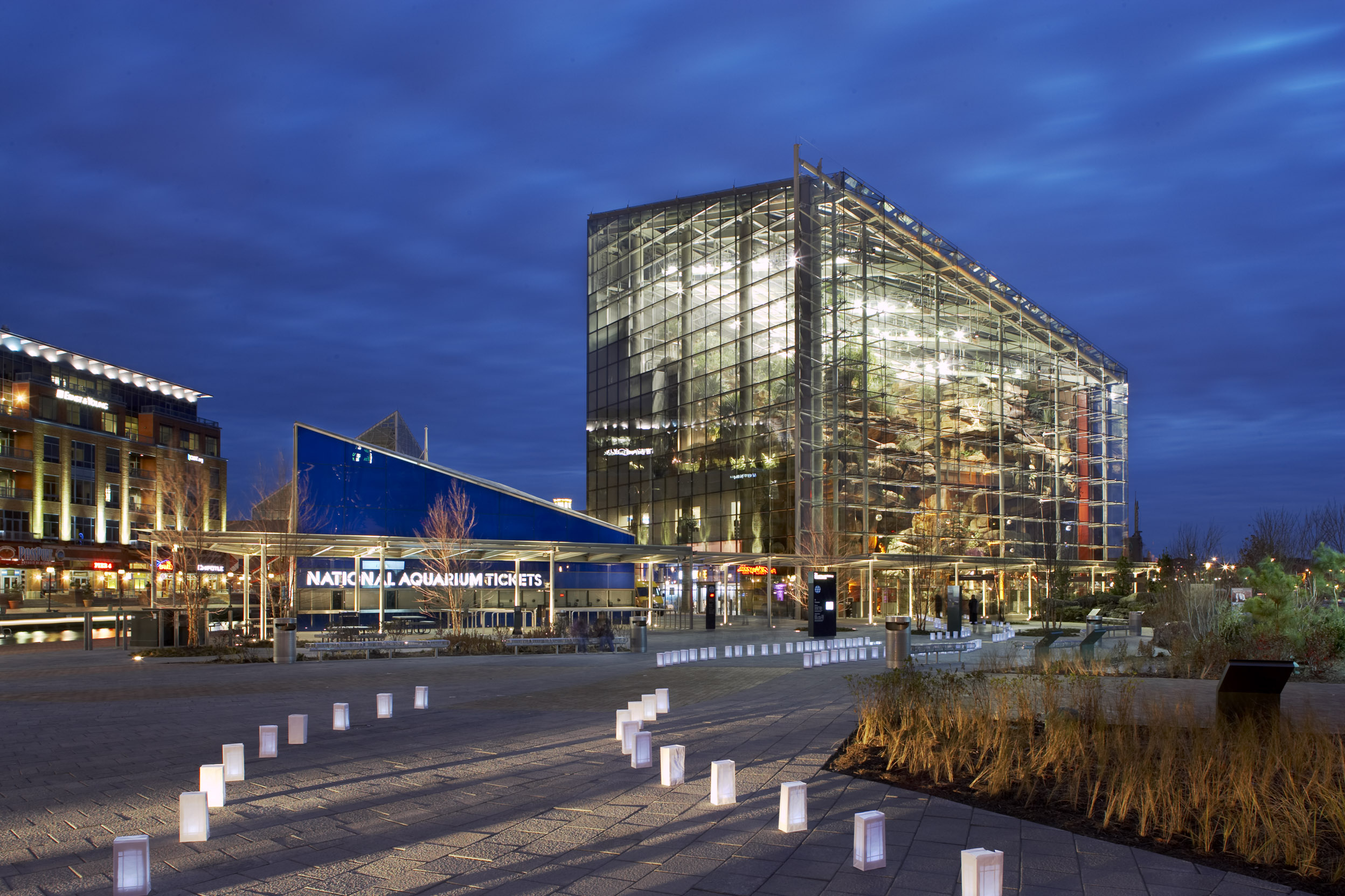 National Aquarium (Baltimore), Captivating studioluk artwork, 2500x1670 HD Desktop