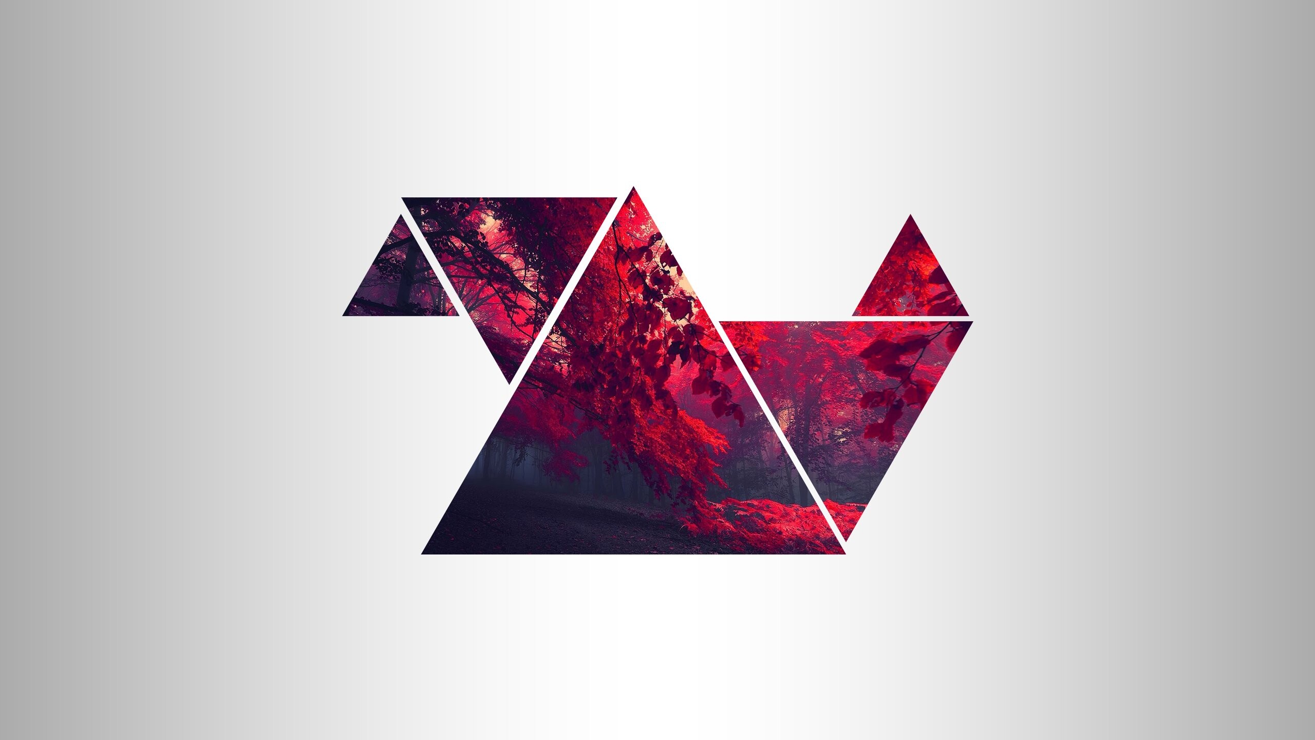 Triangle, Forest landscape, Red triangle, Nature-inspired wallpapers, 2560x1440 HD Desktop