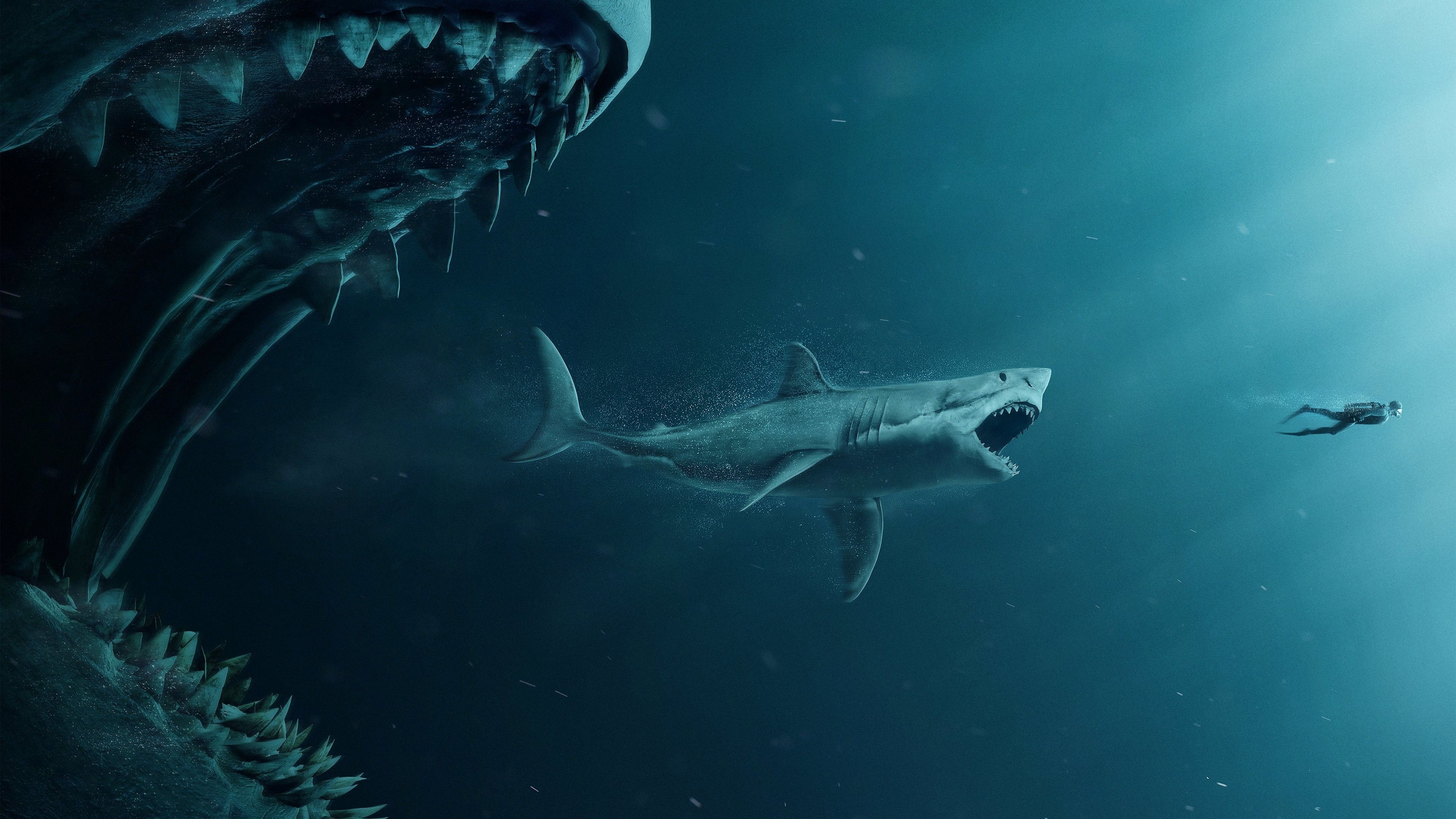 The Meg, Great White Sharks Wallpaper, 3840x2160 4K Desktop