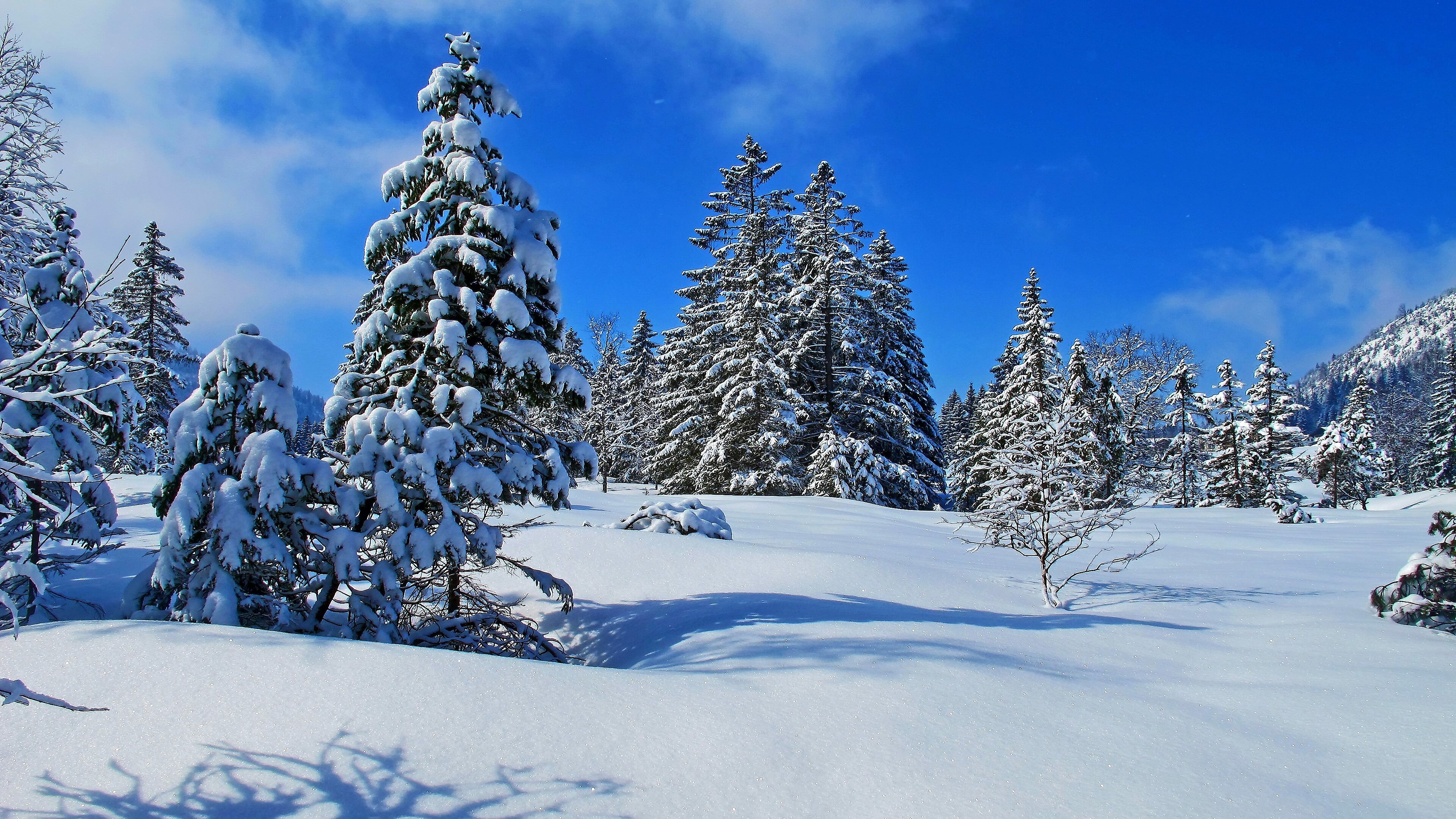 4K winter scenes, Winter beauty, Nature's tranquility, Serene snowy landscapes, 3840x2160 4K Desktop