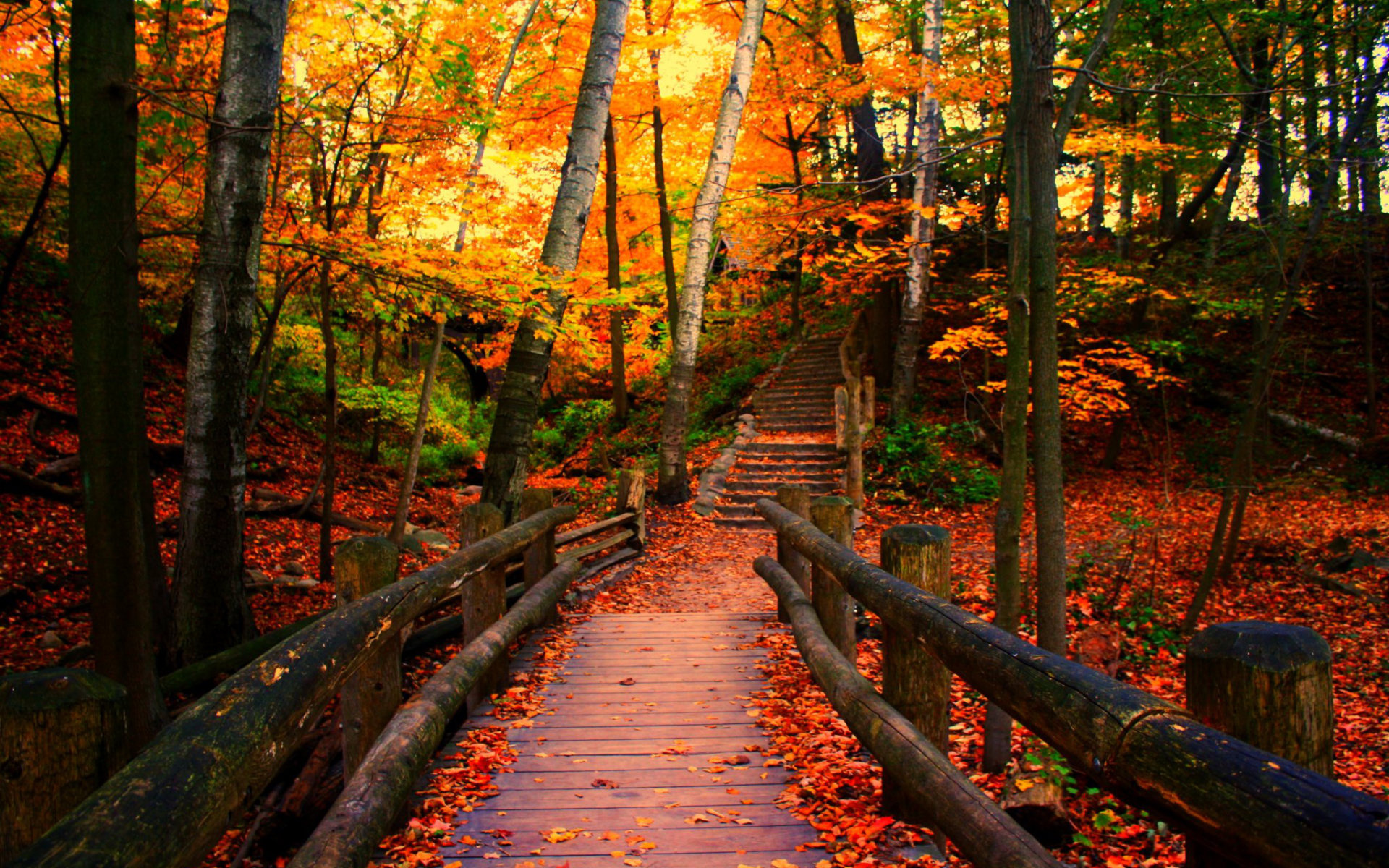 Wisconsin Travels, Autumn scenery, Free download, Desktop mobile u0026 tablet, 1920x1200 HD Desktop