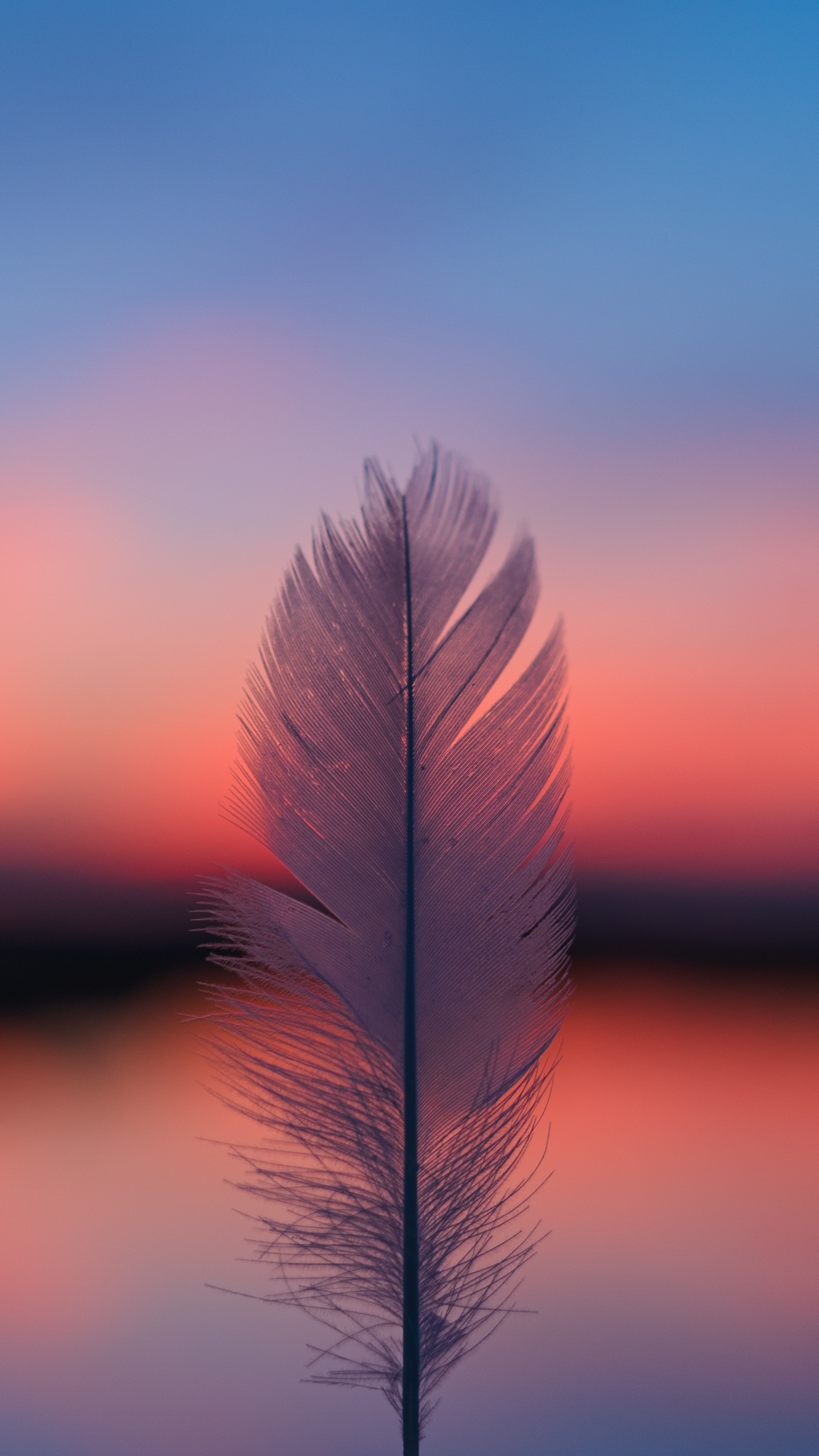 Feather focus blur, Sunset backdrop, 5K wallpapers, Sony Xperia, 2160x3840 4K Phone