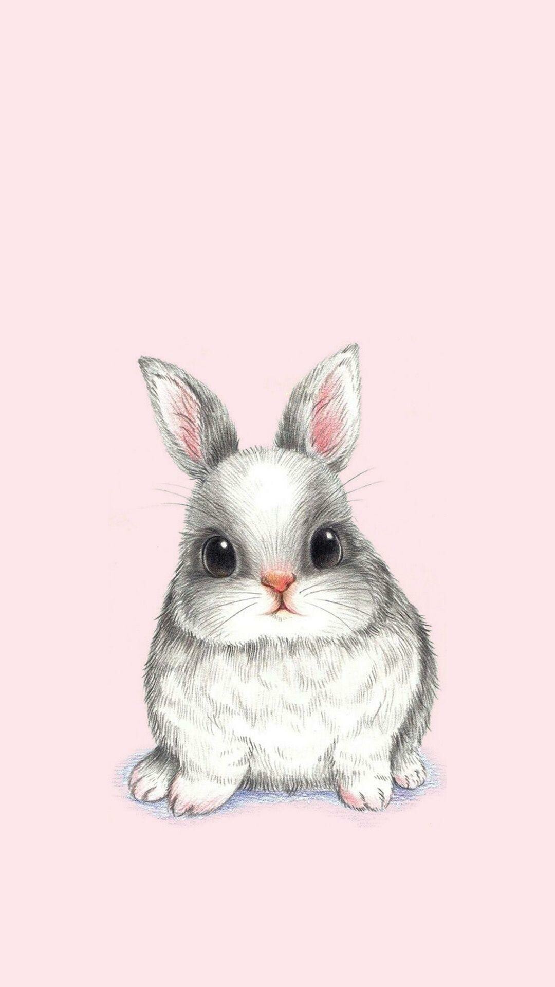 Rabbit phone wallpapers, Mobile device backgrounds, Bunny cuteness, On-the-go charm, 1080x1920 Full HD Phone