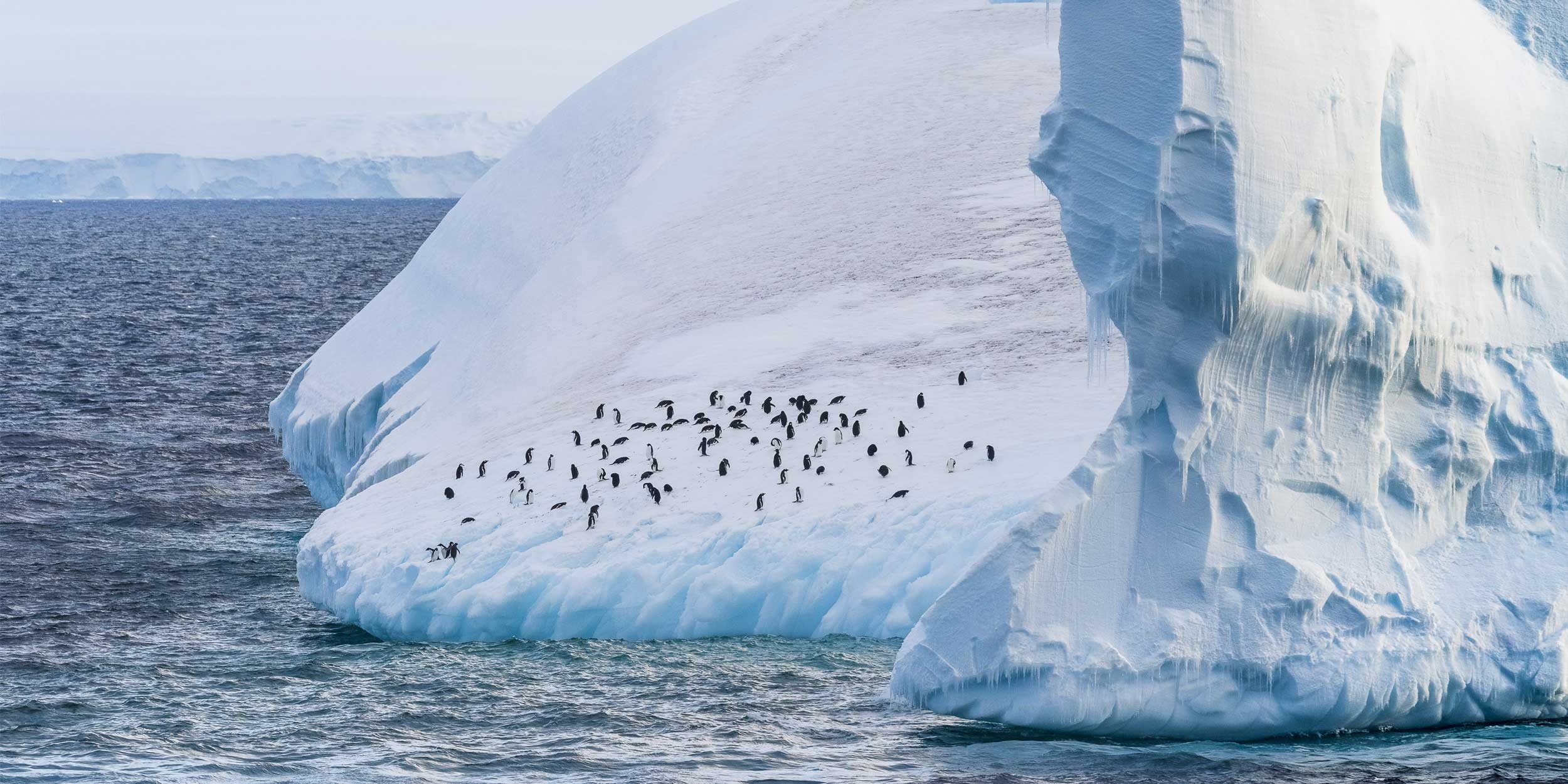 Cruises to Antarctica, Falkland Islands, Patagonia expeditions, 2500x1250 Dual Screen Desktop