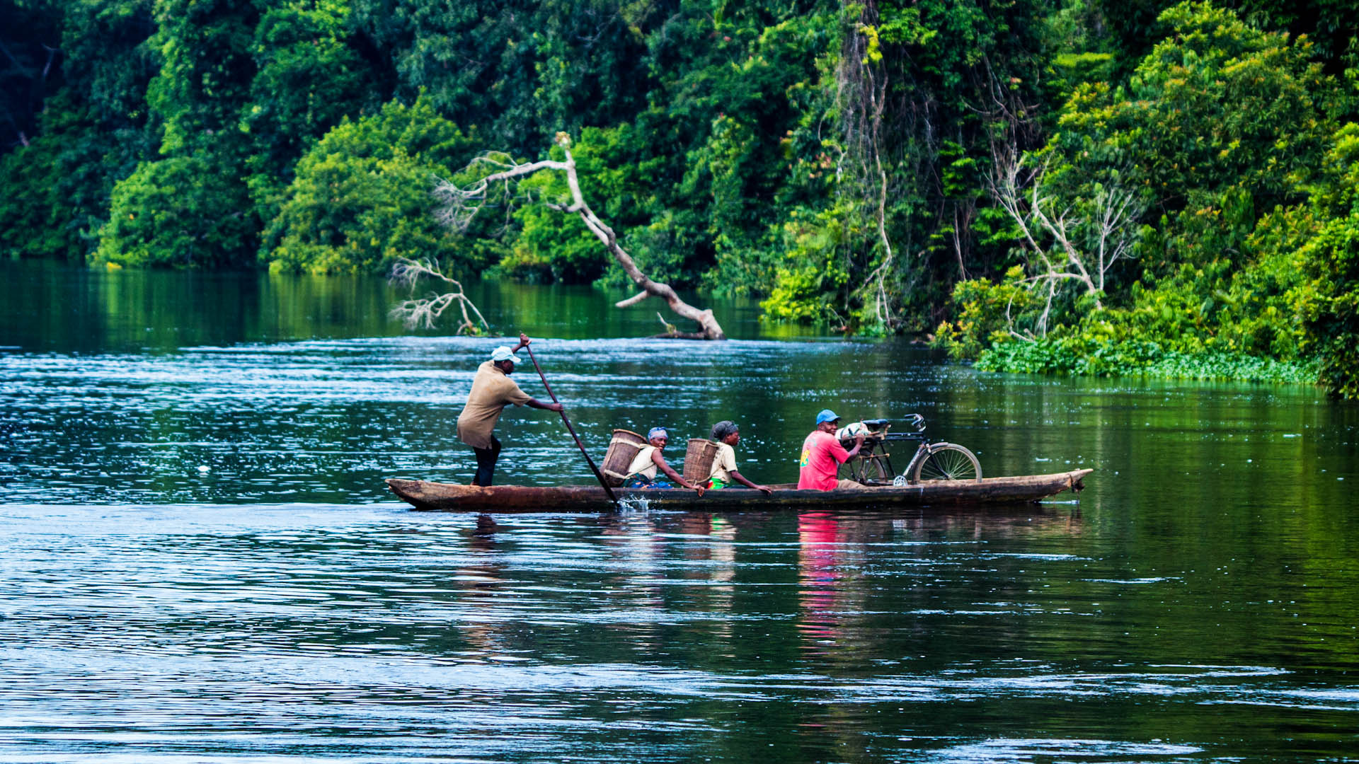 Republic of Congo safari, Safari natural world safaris, When to go, Congo safari, 1920x1080 Full HD Desktop