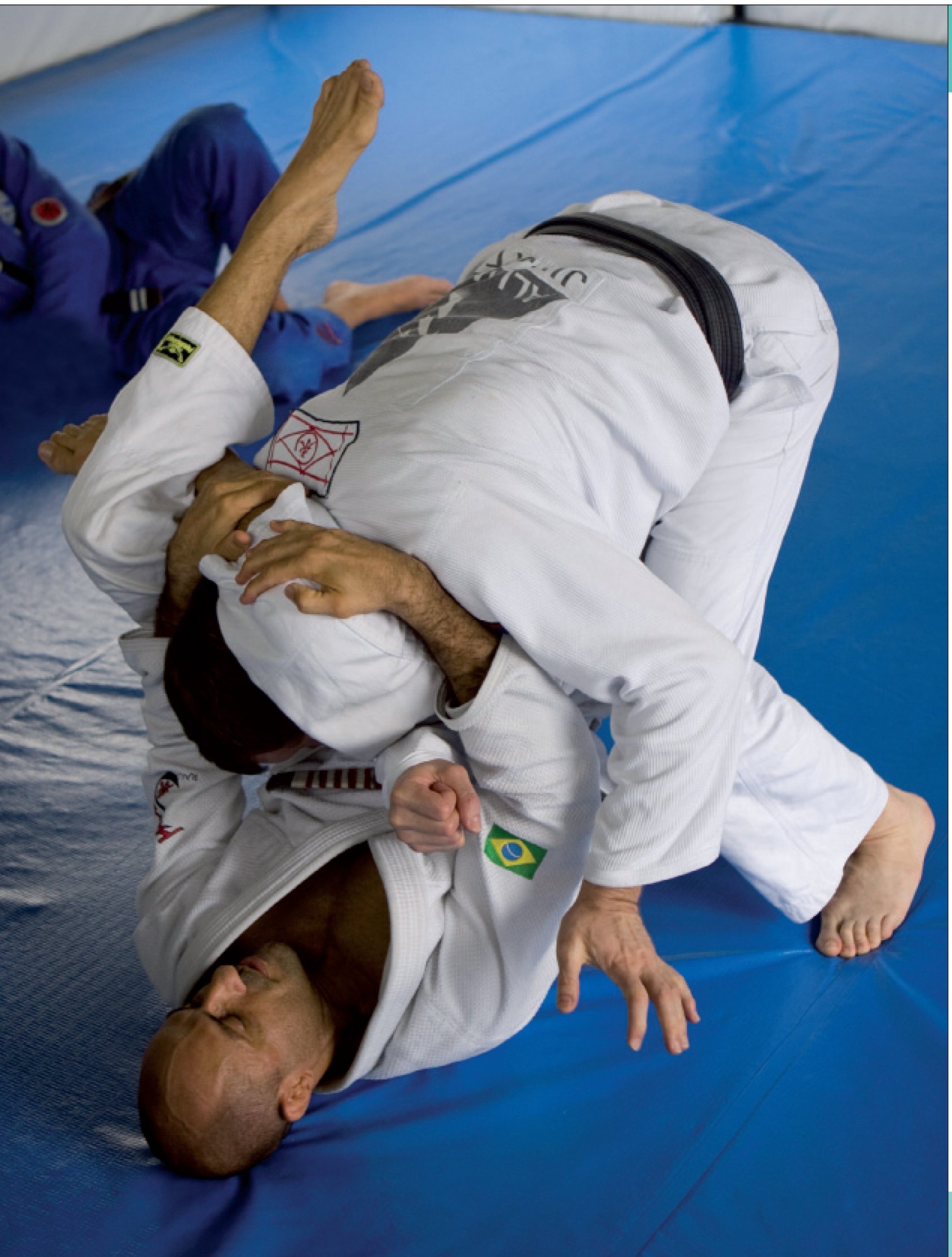 Brazilian Jiu-jitsu, Ultimate guide, Mixed martial arts combat, 1940x2560 HD Phone