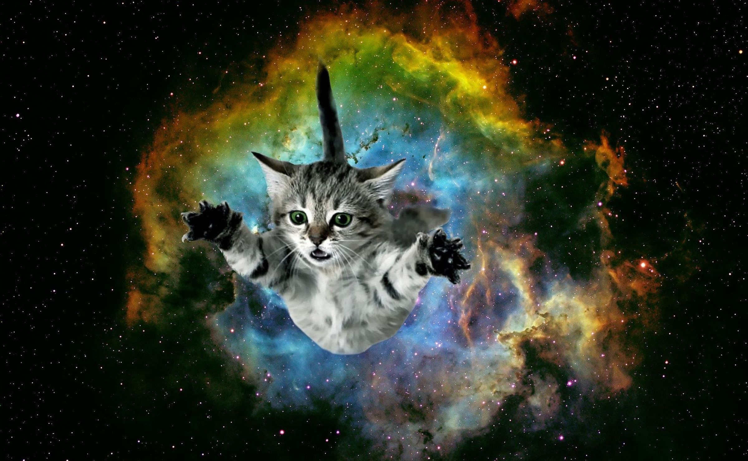 Space, Galaxy Cat Wallpaper, 2400x1480 HD Desktop